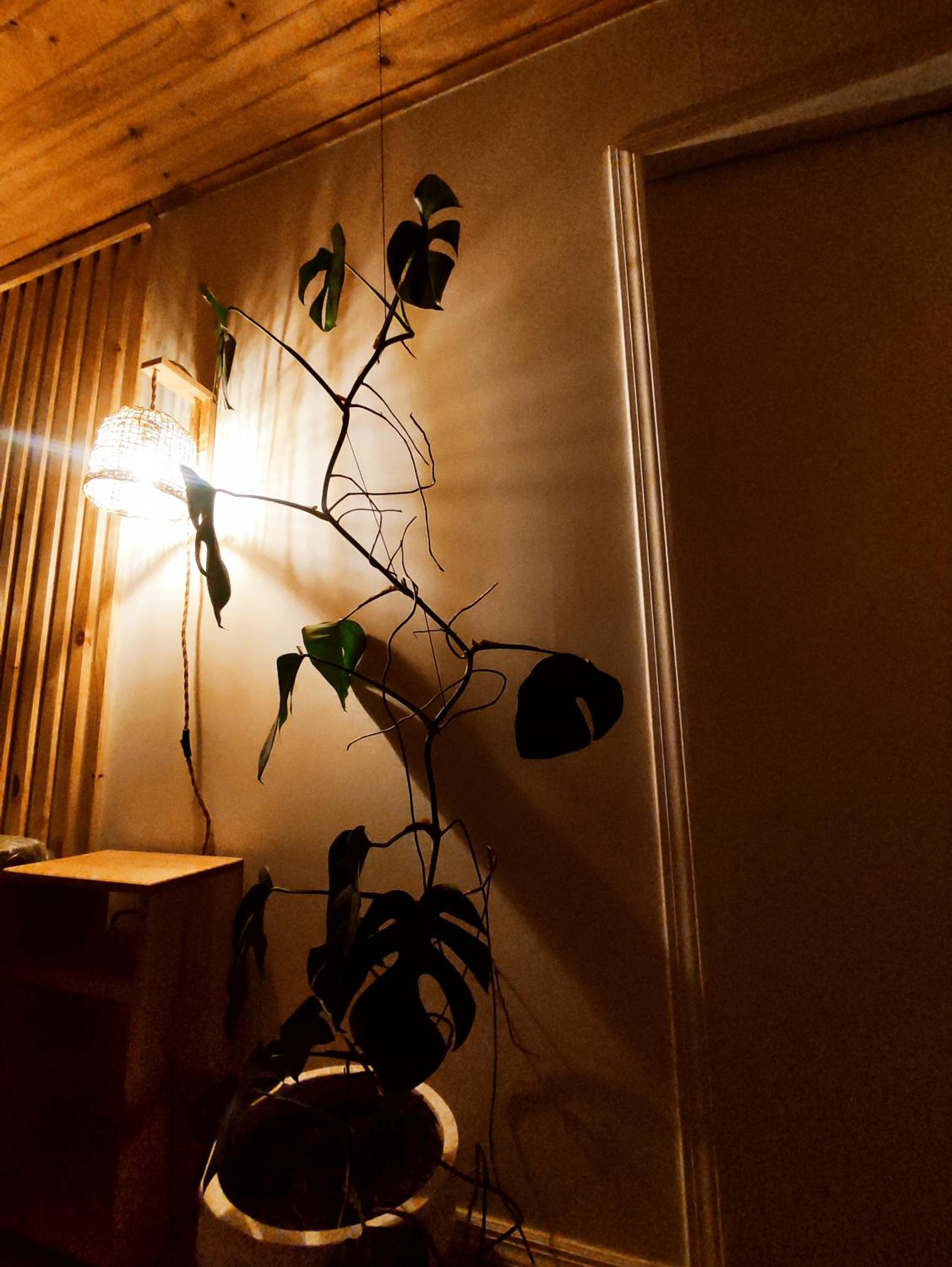 Departamento en Cocholgüe Tomé Concepción