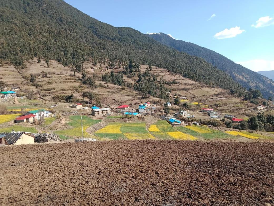 Nature Walk Homestay