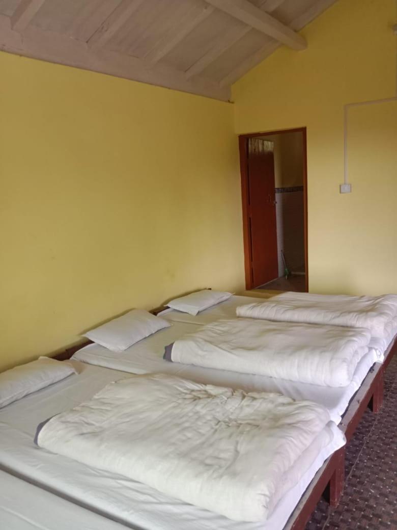 Nature Walk Homestay