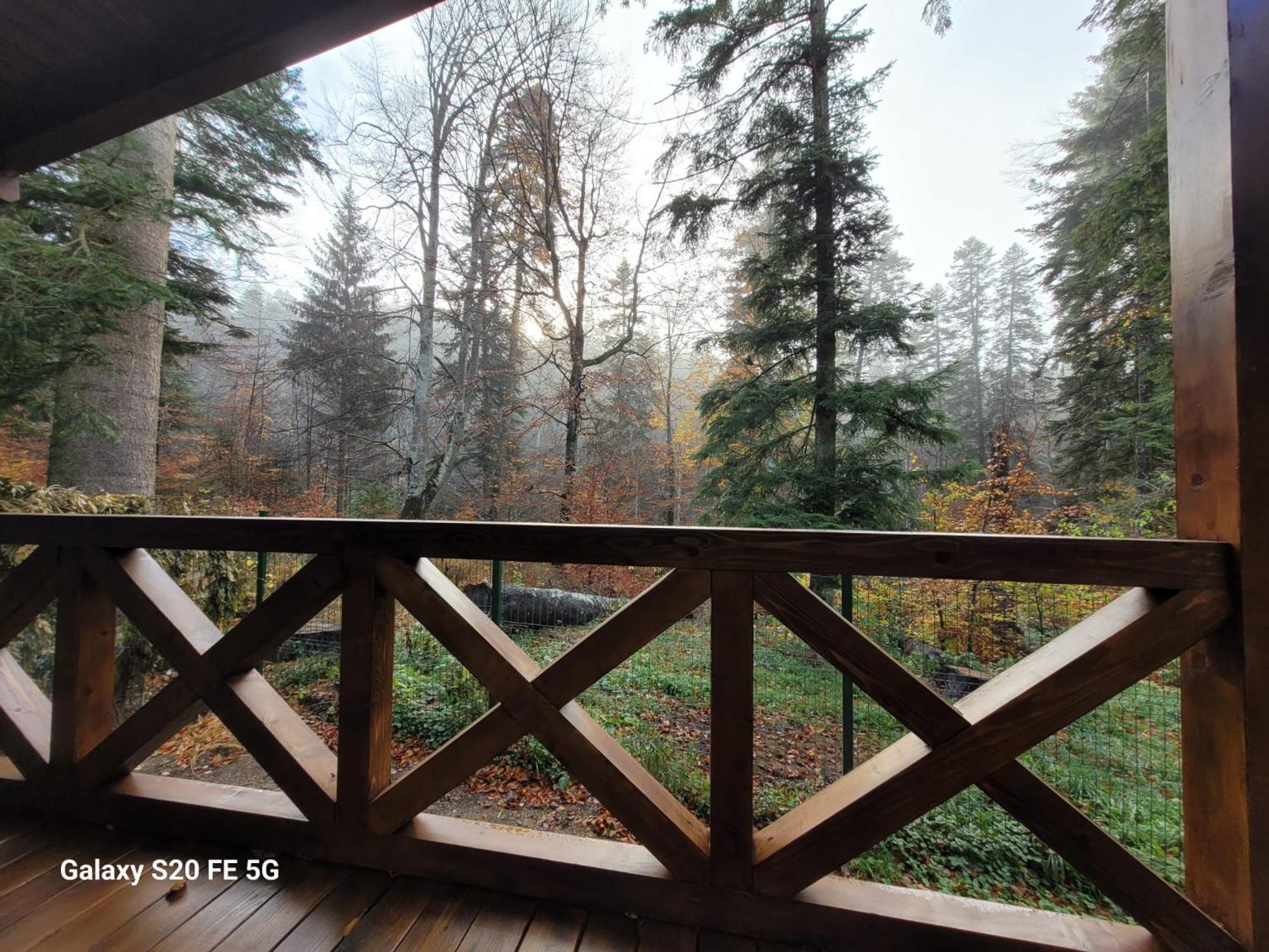 Chalet Amik view 5