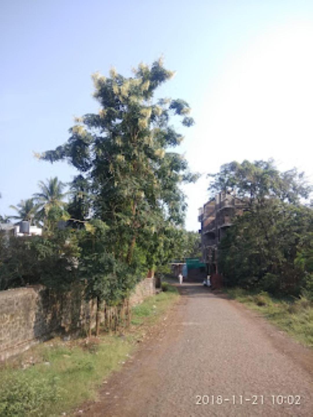 New Ajanta Lodging,Satara view 4
