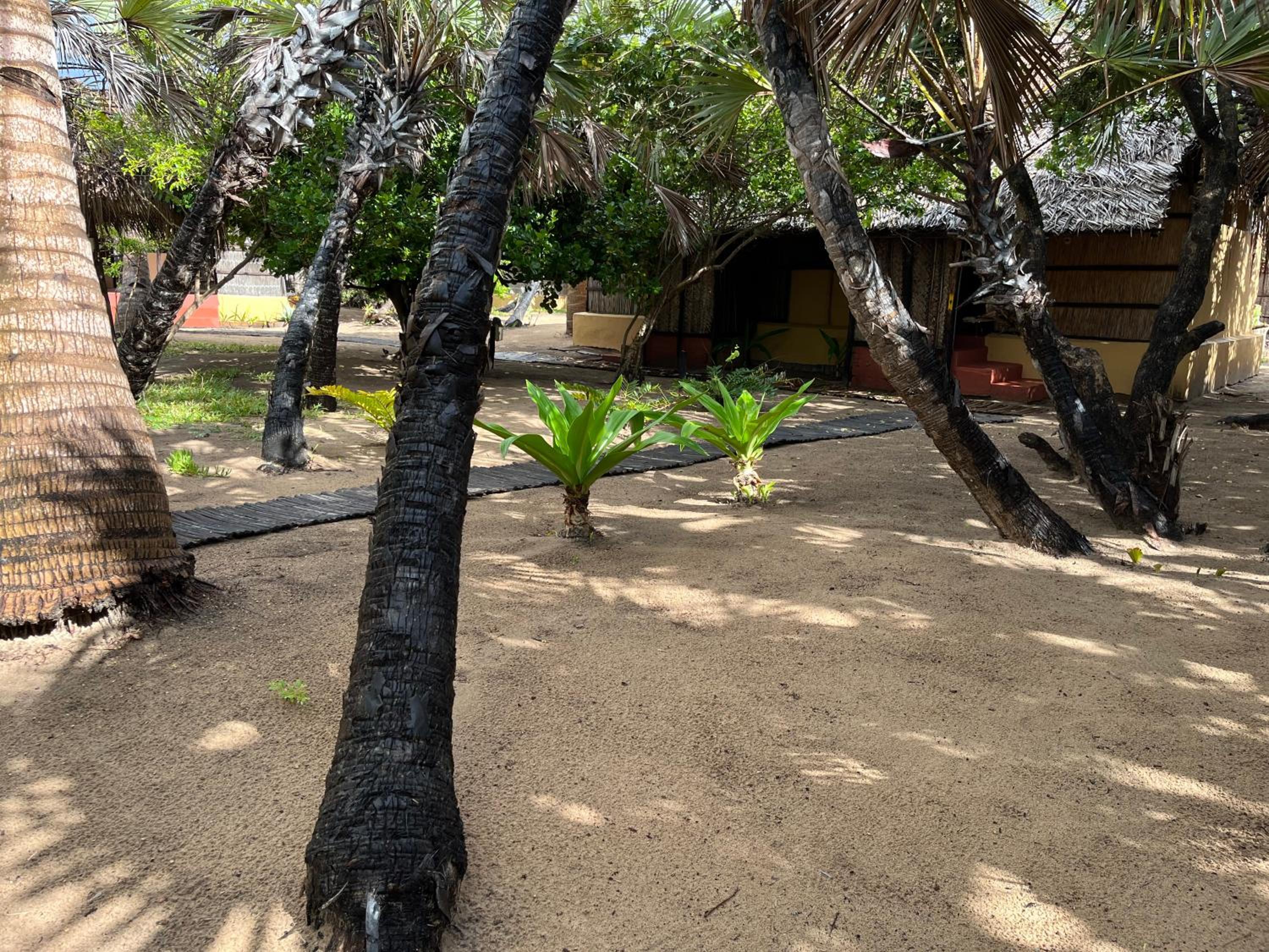 Mango Beach Resort