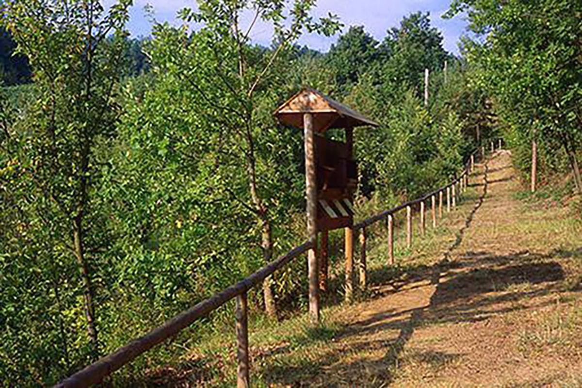 BIAMICI - casa de vacanze in Mombercelli