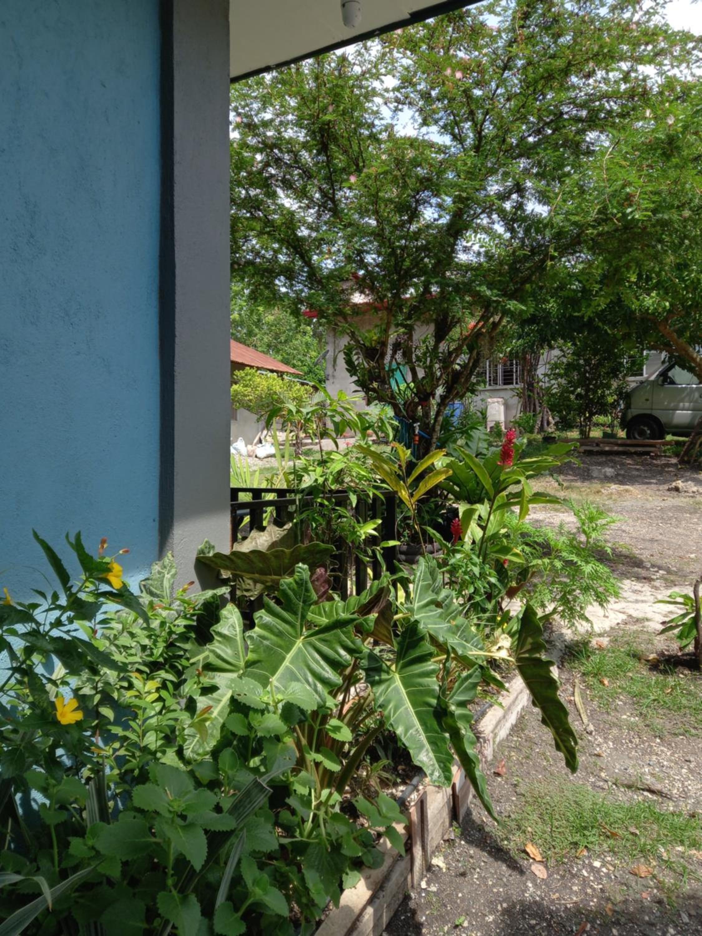 Bohol-Simple and Elegant Suite view 5
