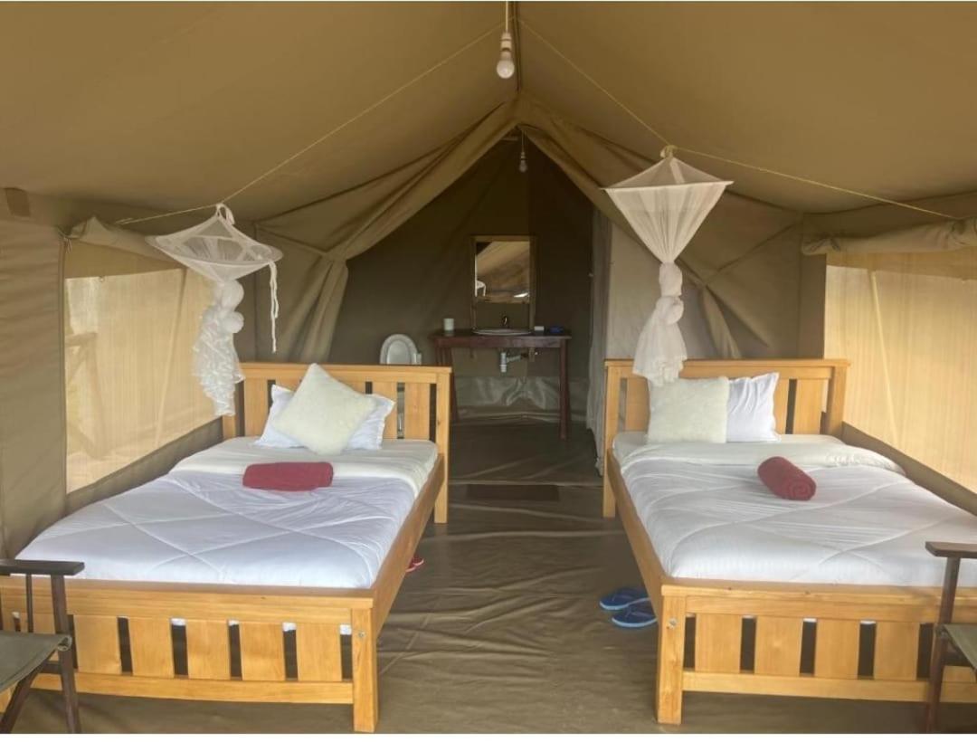 Elephant trails camp