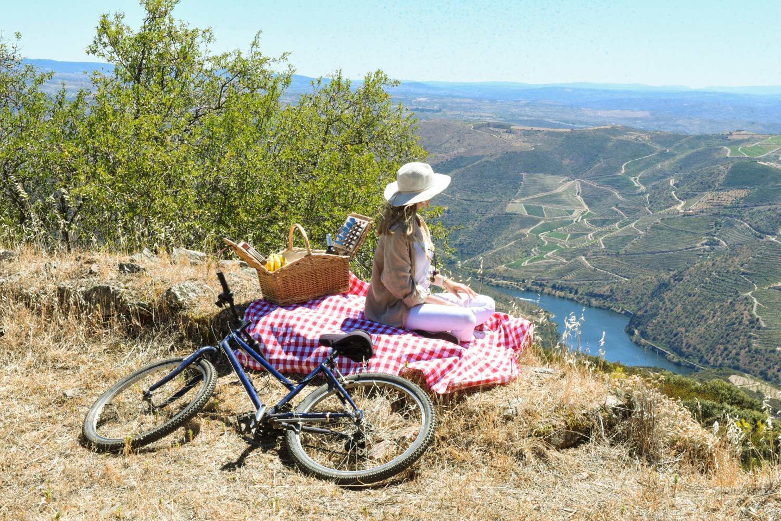 PH in Alto Douro Vinhateiro view 4