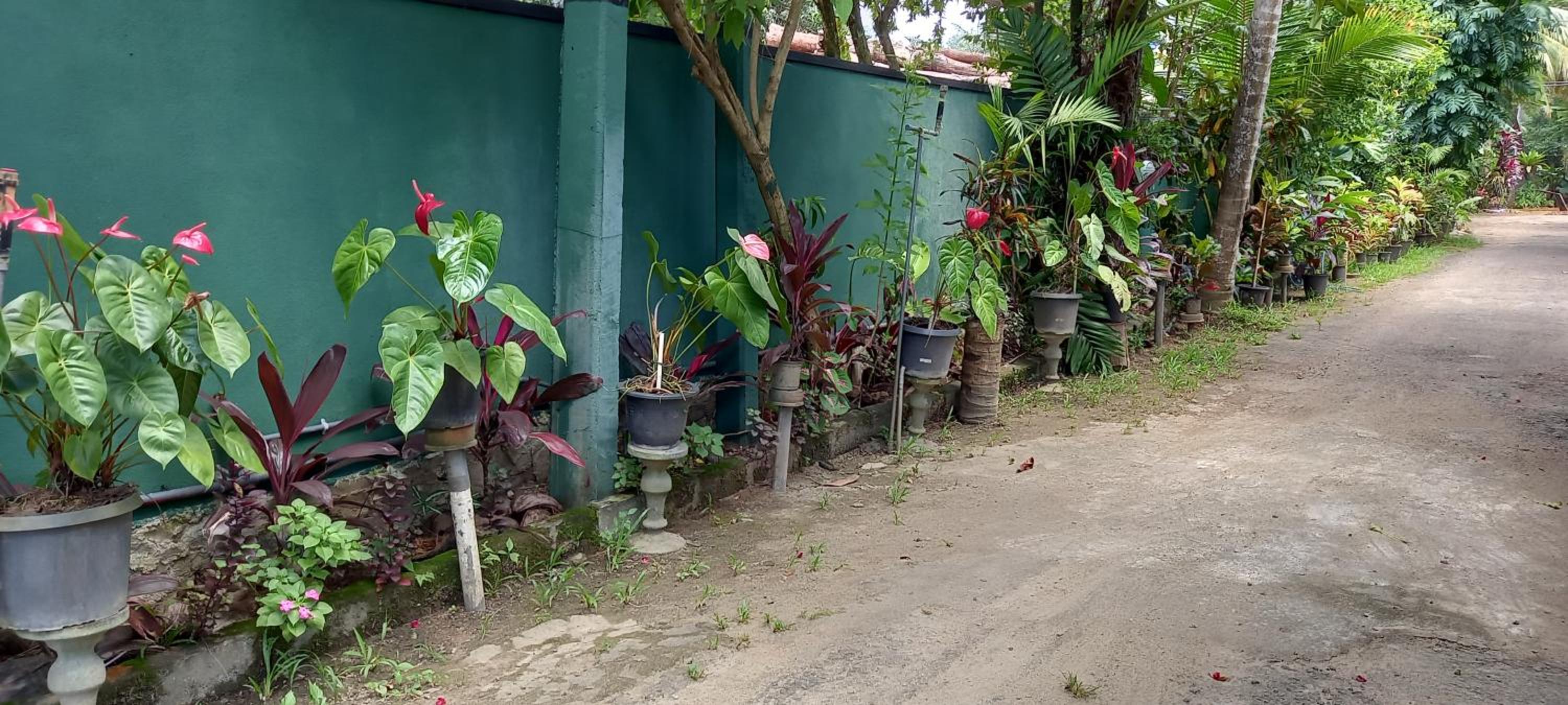 Nooit Gedacht Holiday Resort Unawatuna