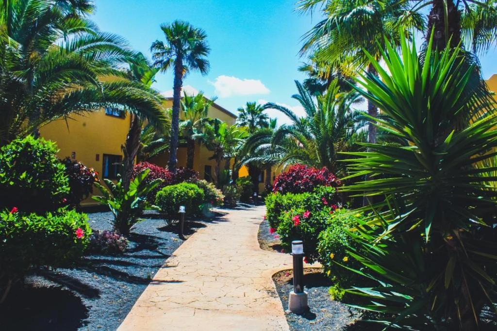 Oasis Tamarindo 1 - Casa Rosa - Appartement 2 chambres climatisées view 5