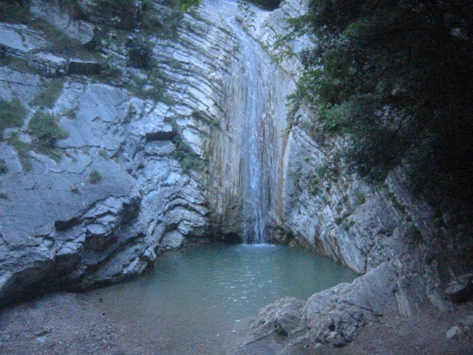 Photo 50