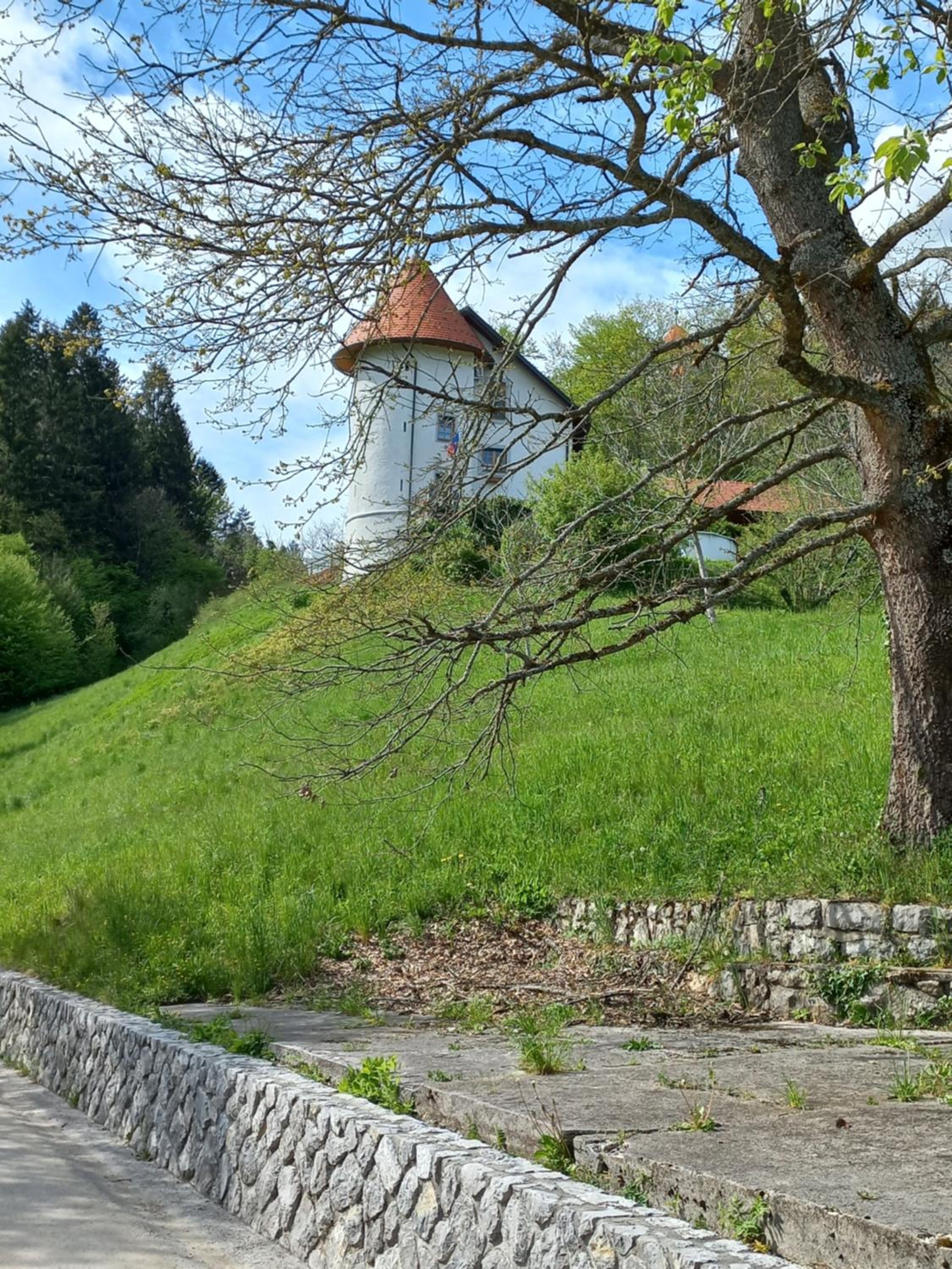 Photo 23