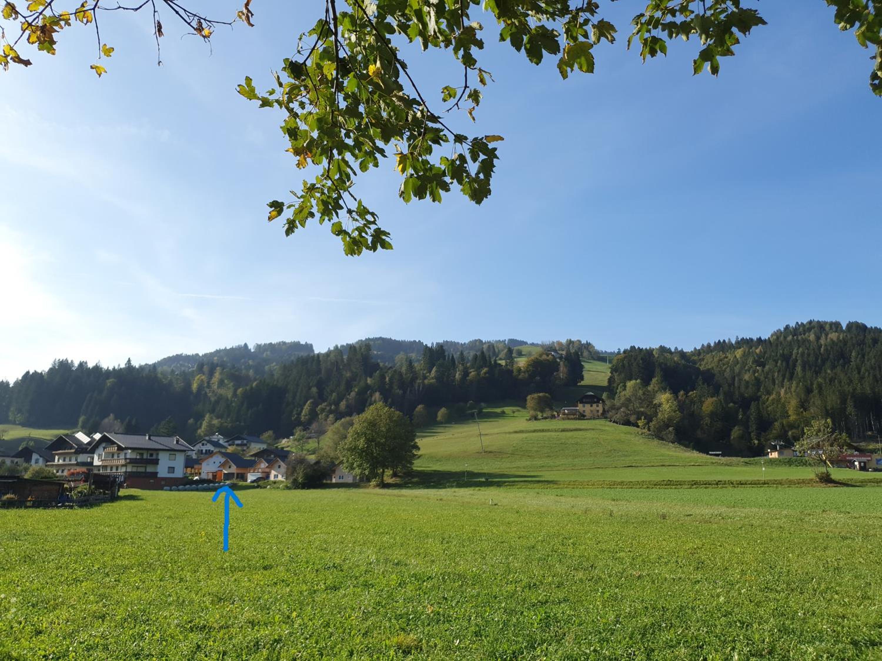 Alpensuss