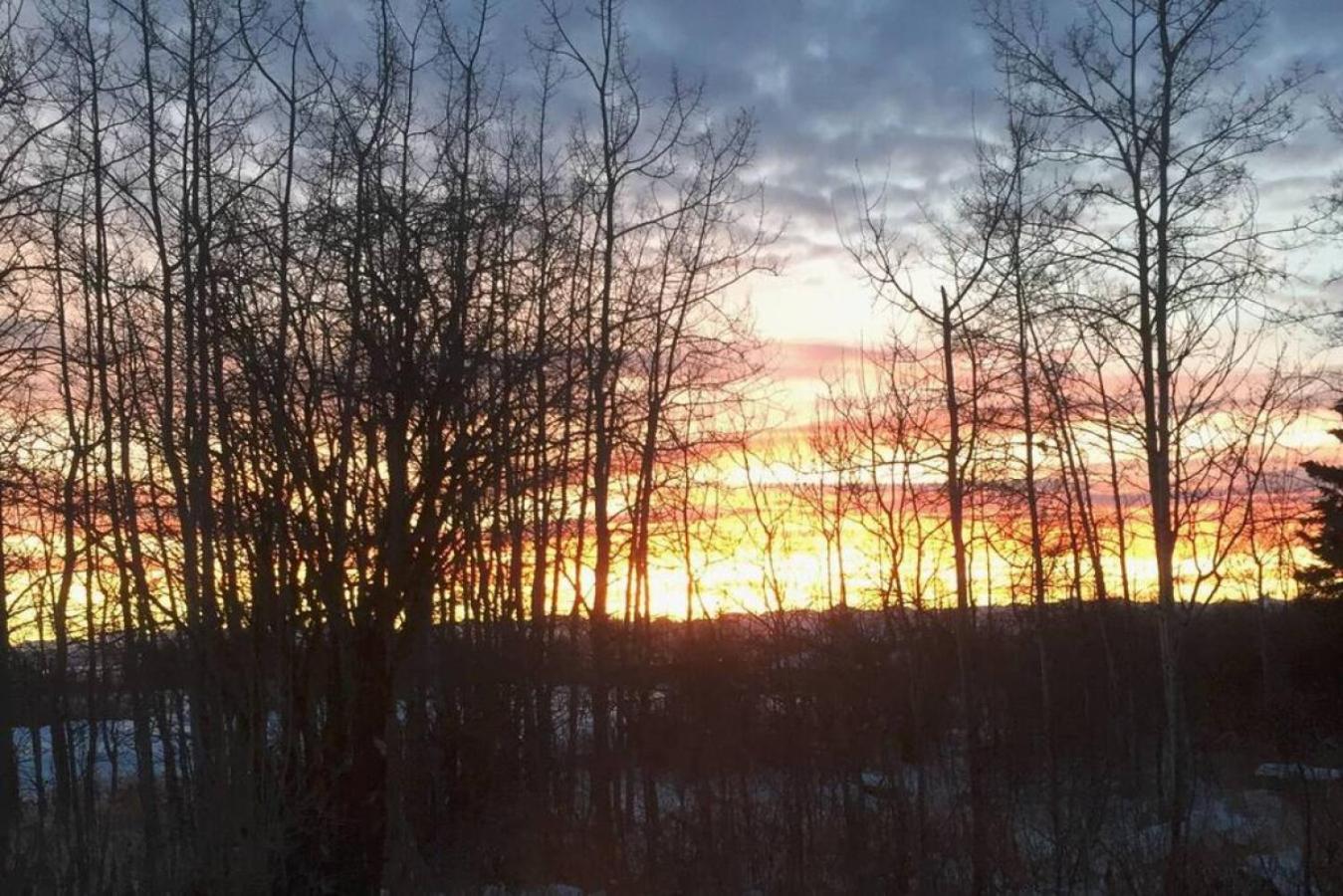 Escape to the Rockies but near Calgary Includes Free Parking and Banff Entry