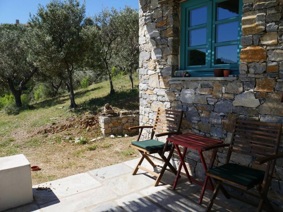 Photo 7