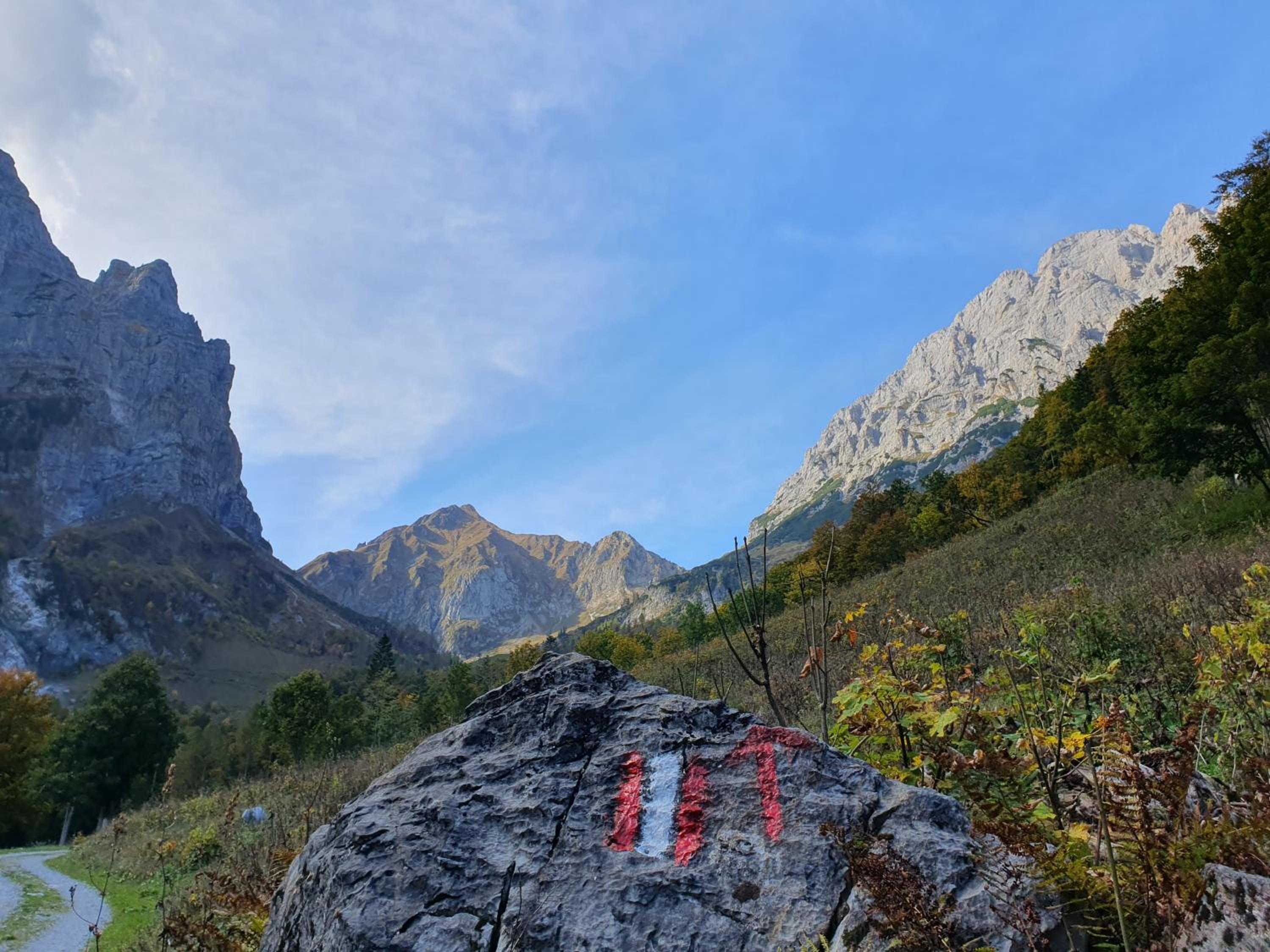 Alpensuss