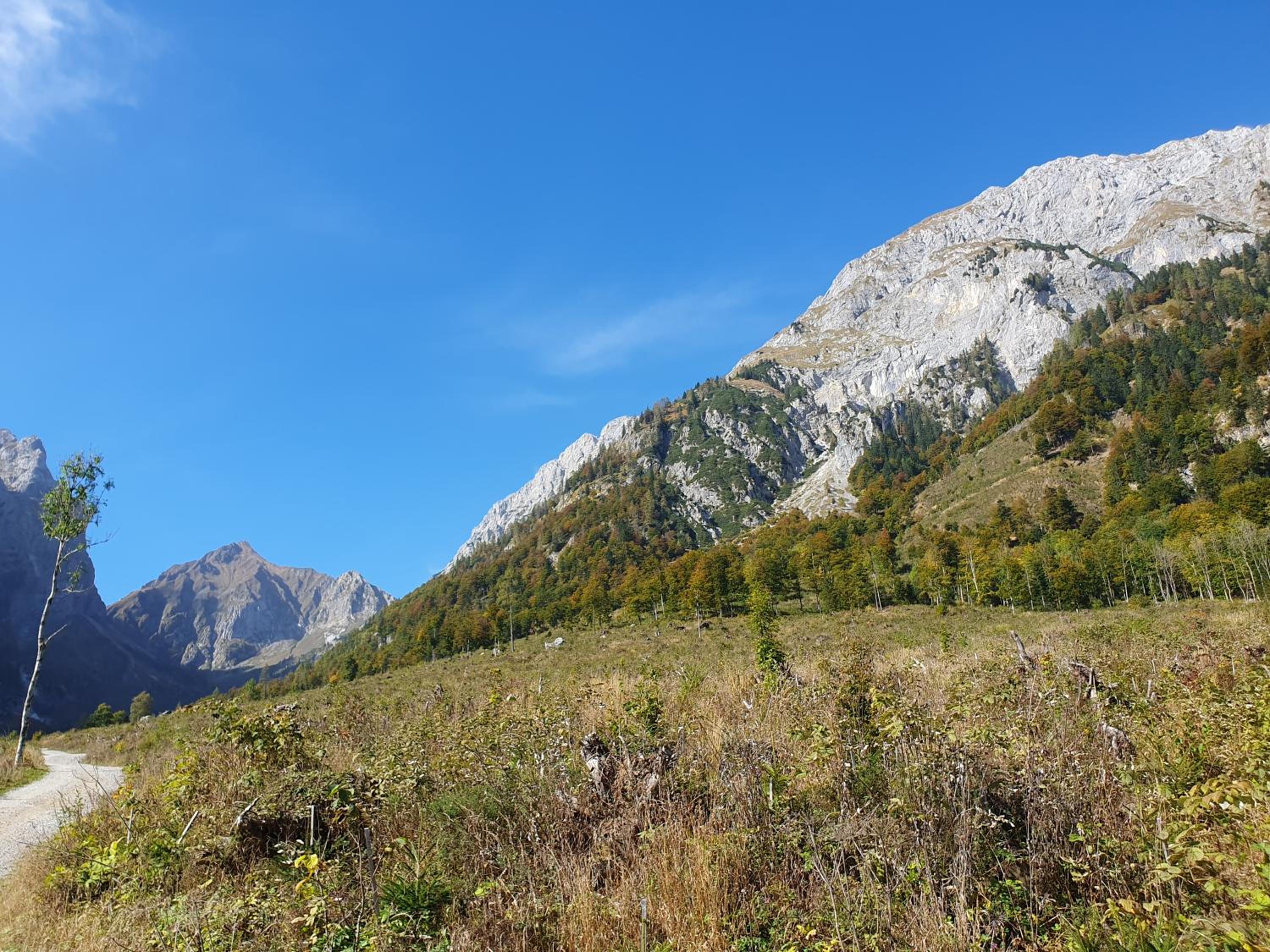 Alpensuss