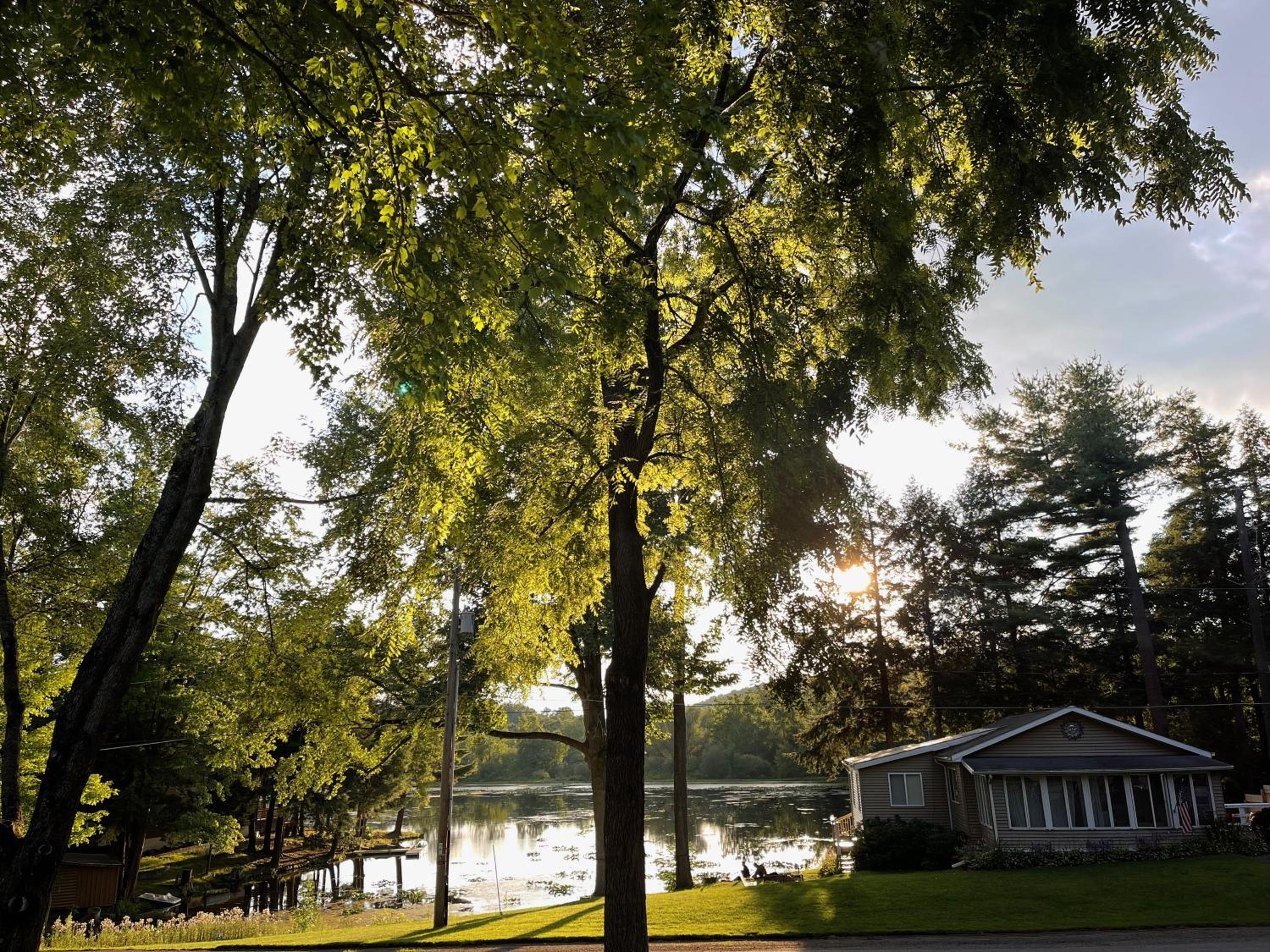 Photo 69