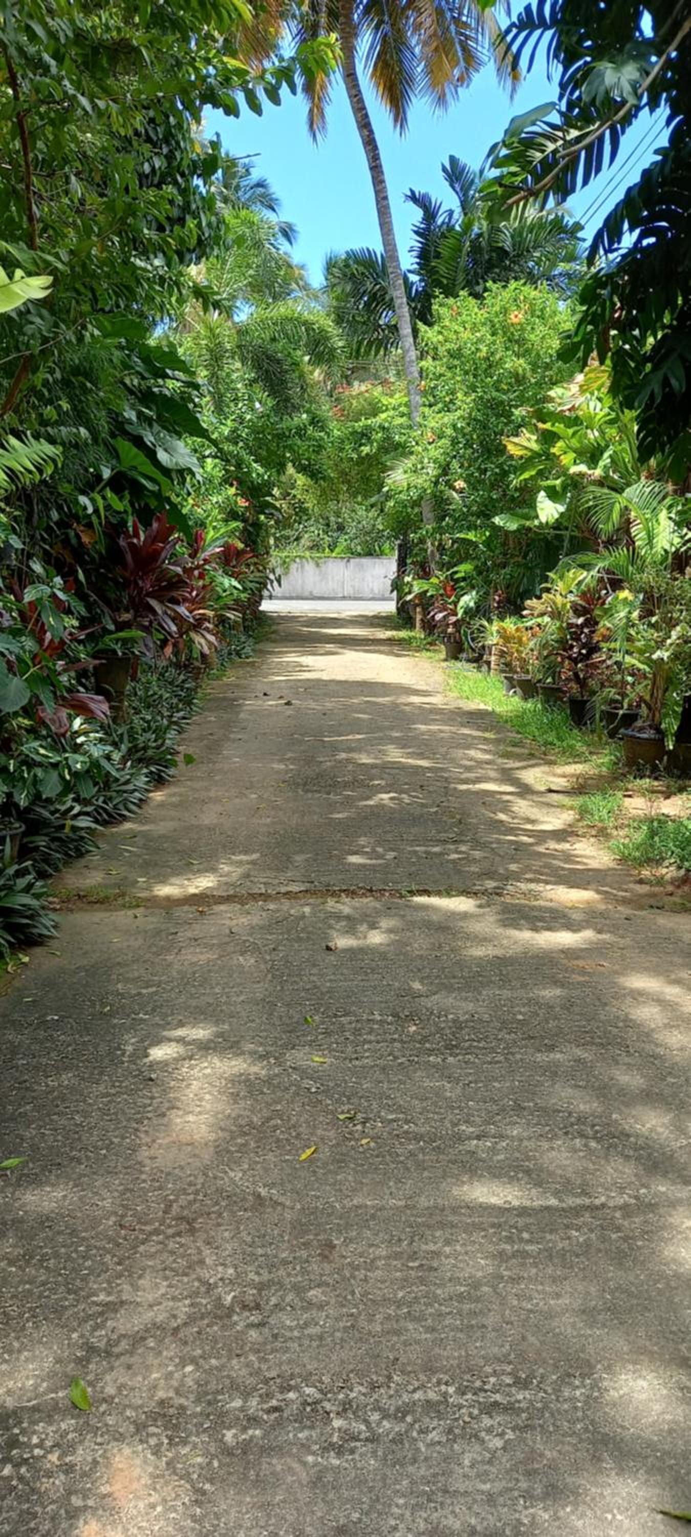 Nooit Gedacht Holiday Resort Unawatuna