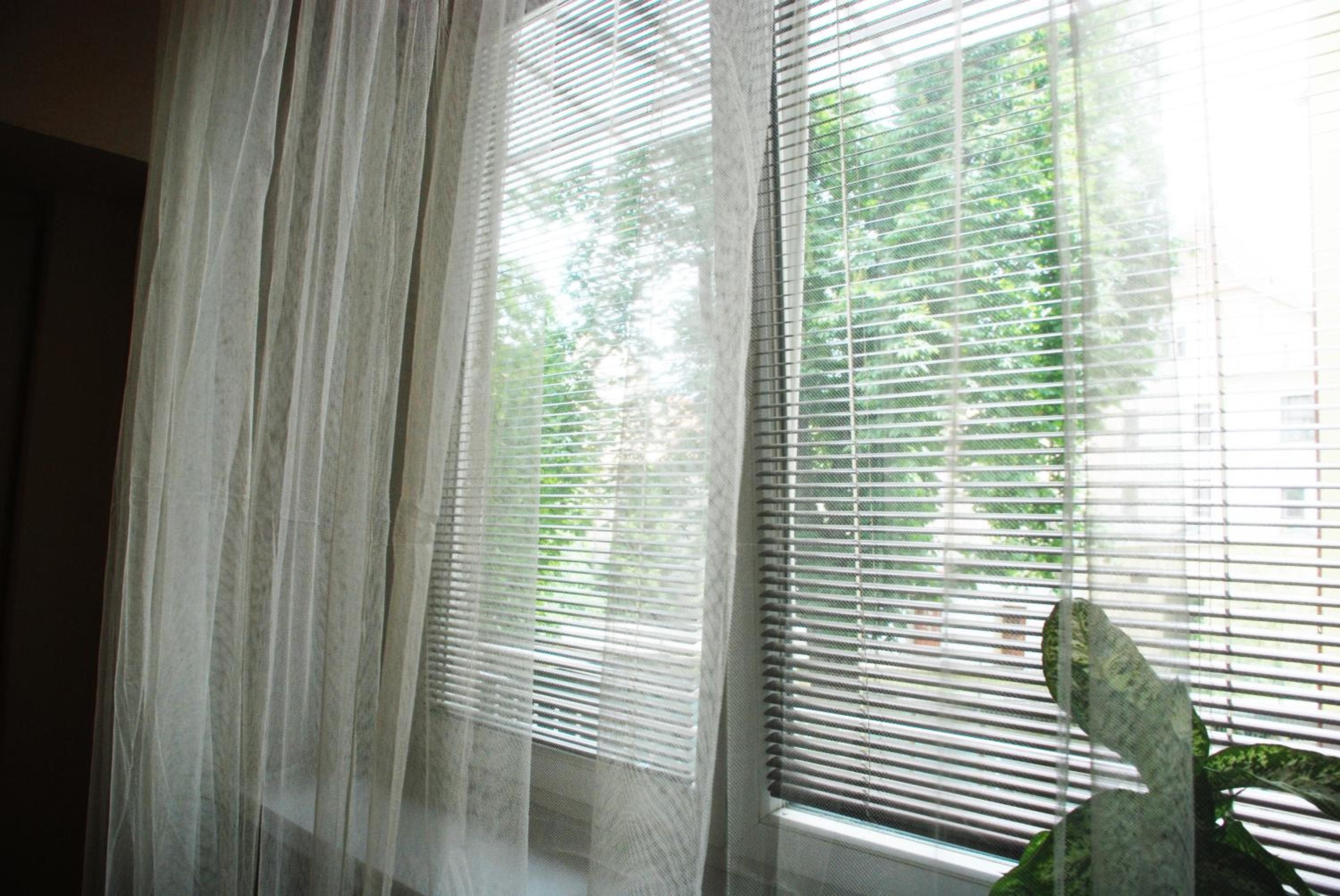 Apartment Vlhka
