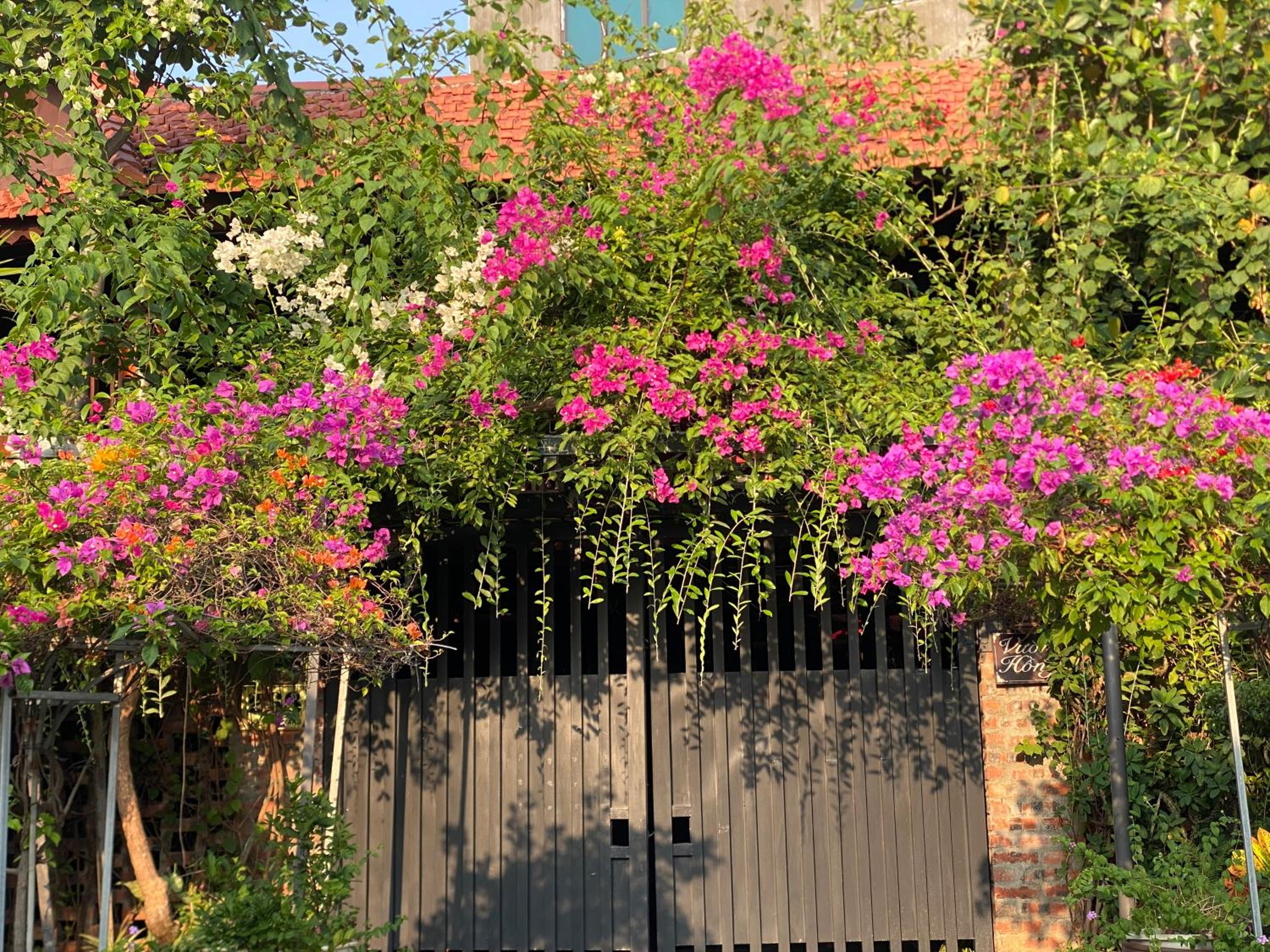 Homestay Sunny