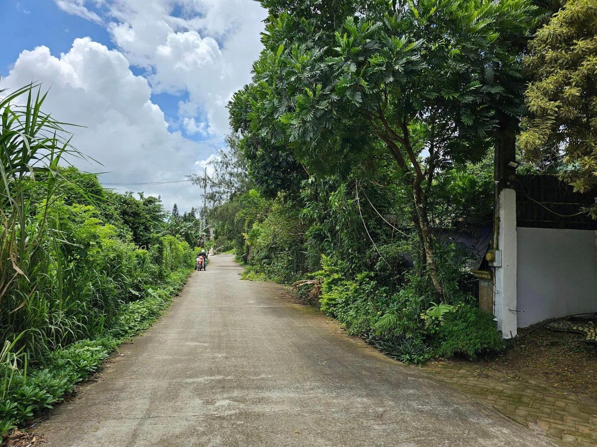 Kimberly's Place - Transient House Amadeo Cavite view 5