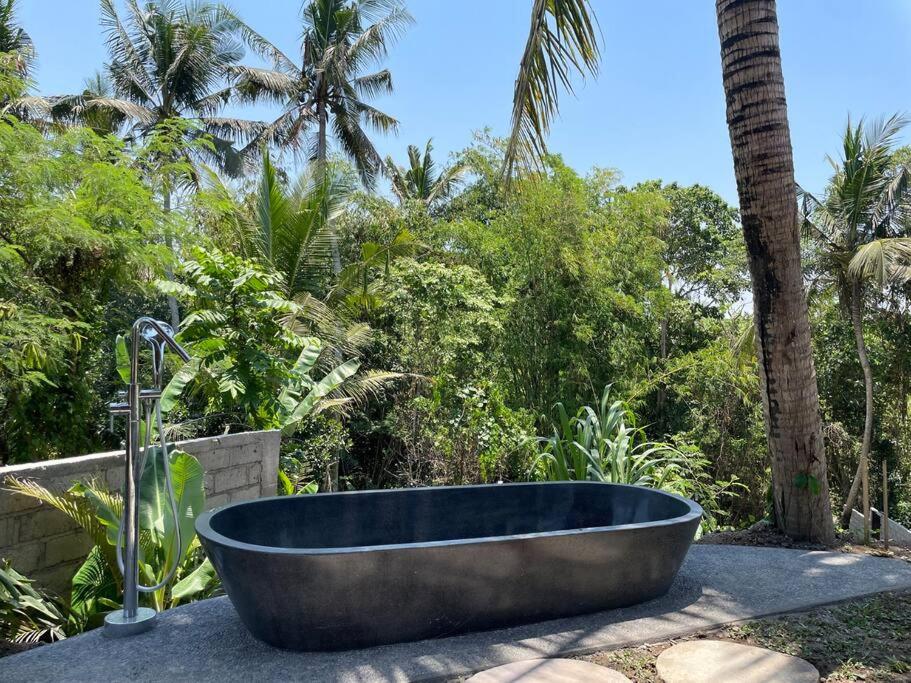 Villa Dwipa view 5