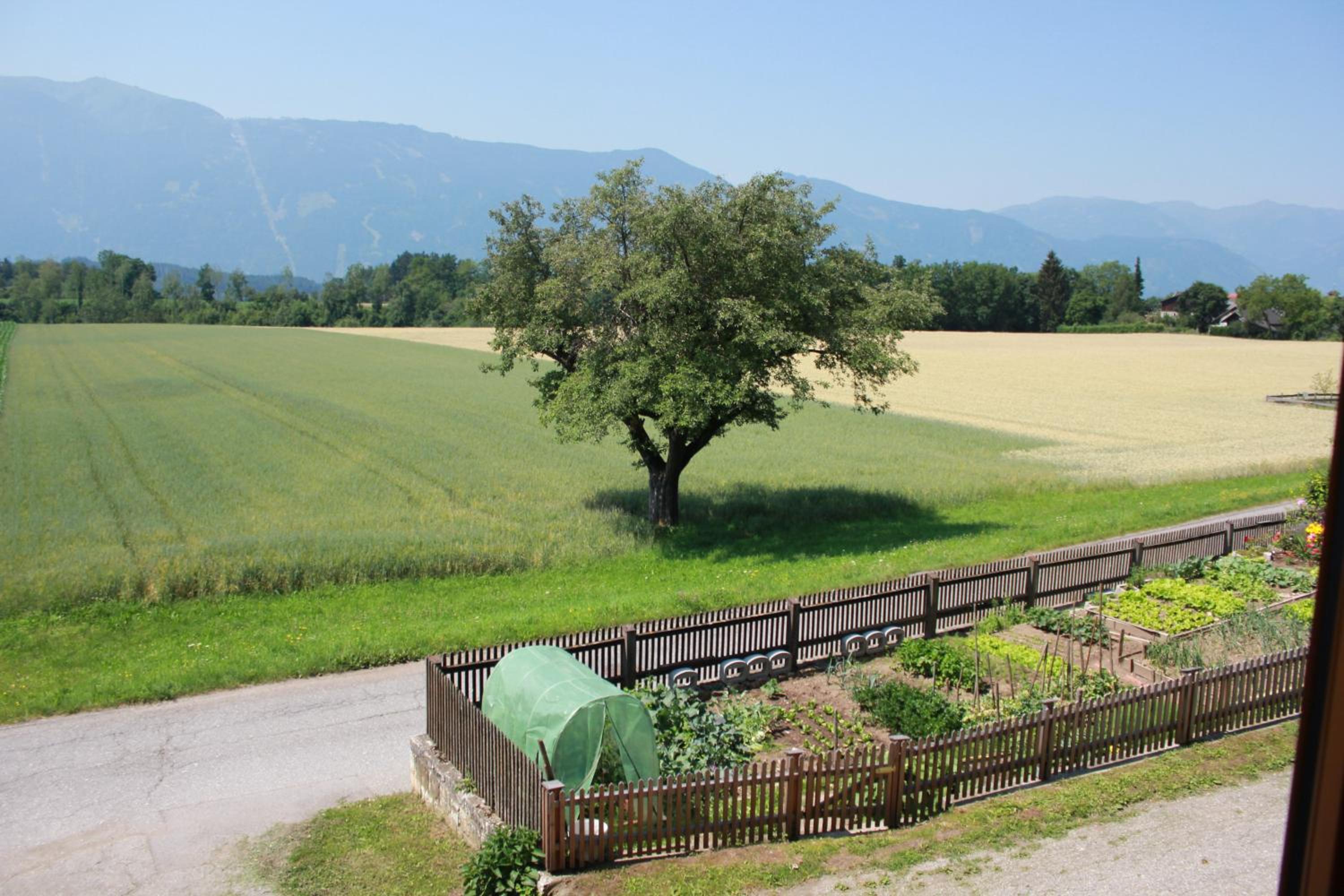Landhaus Löscher view 5