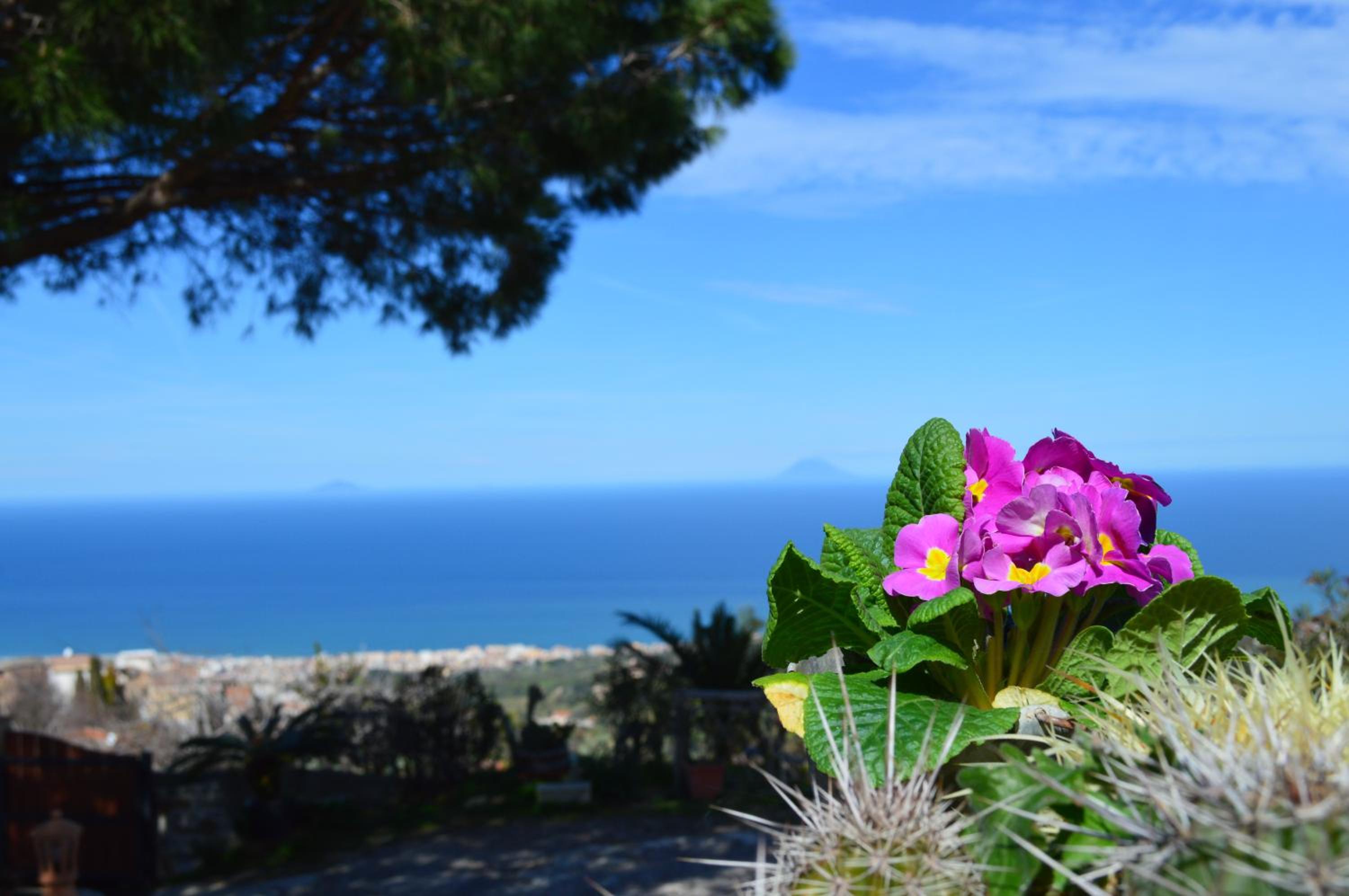 Villa Quiete
