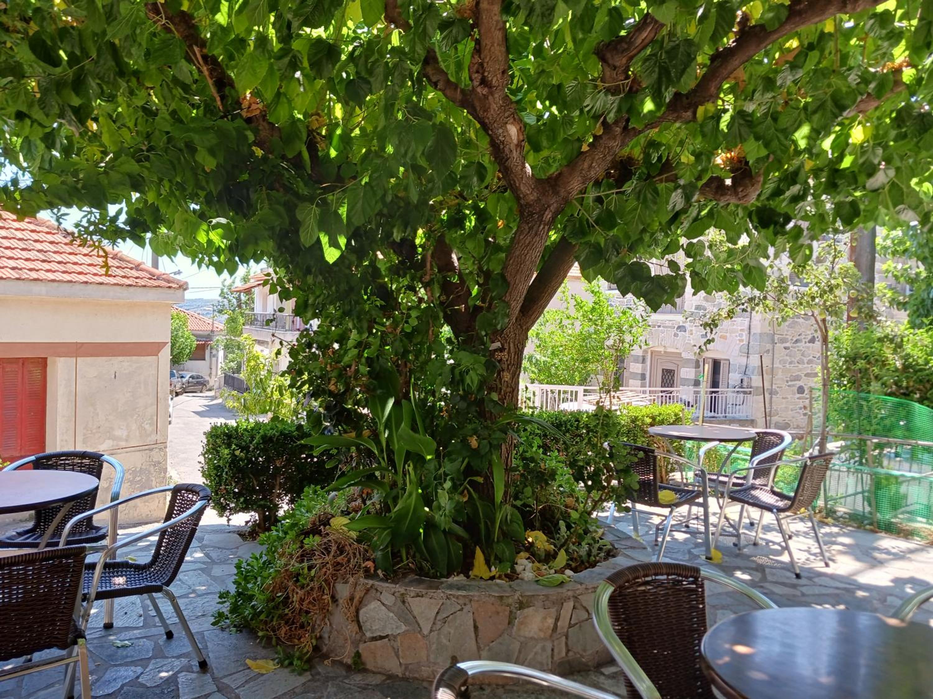 Vagia's Home view 5