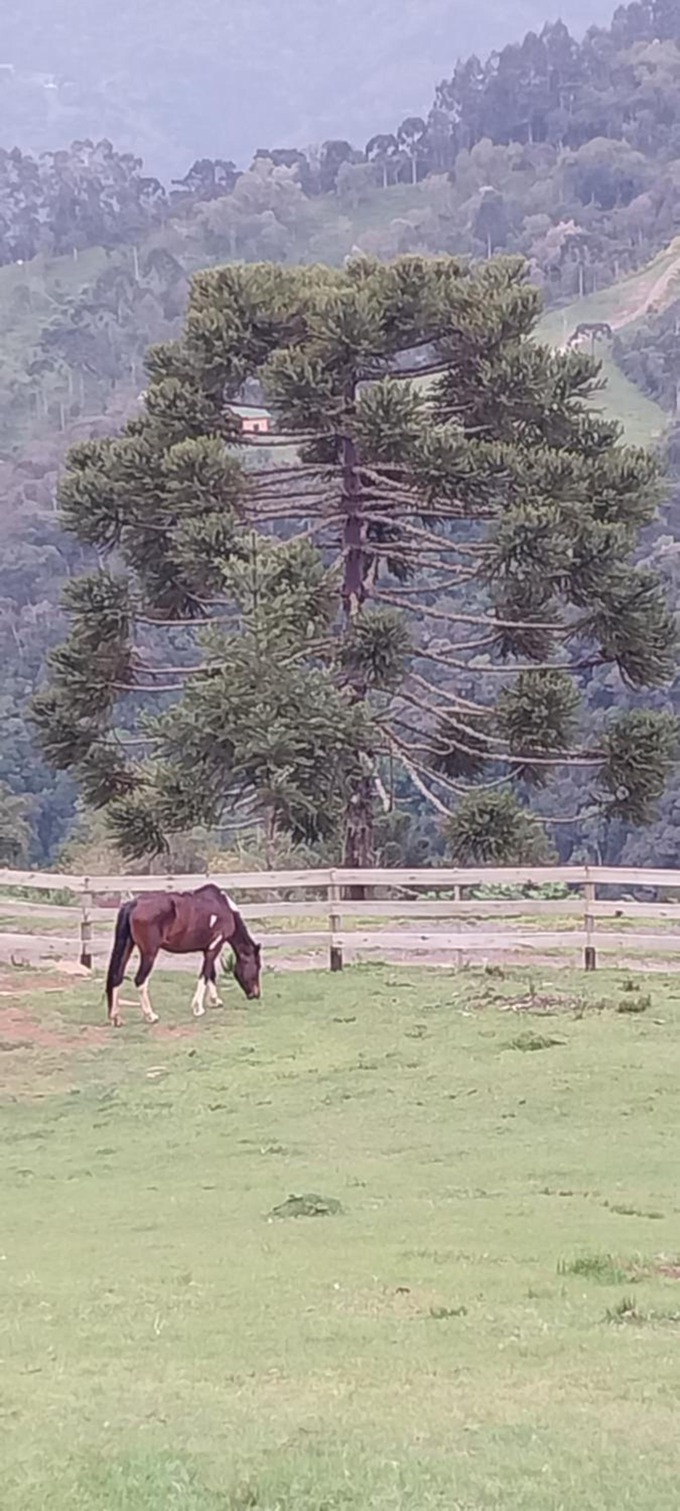 Sentiero Morro de Pedra
