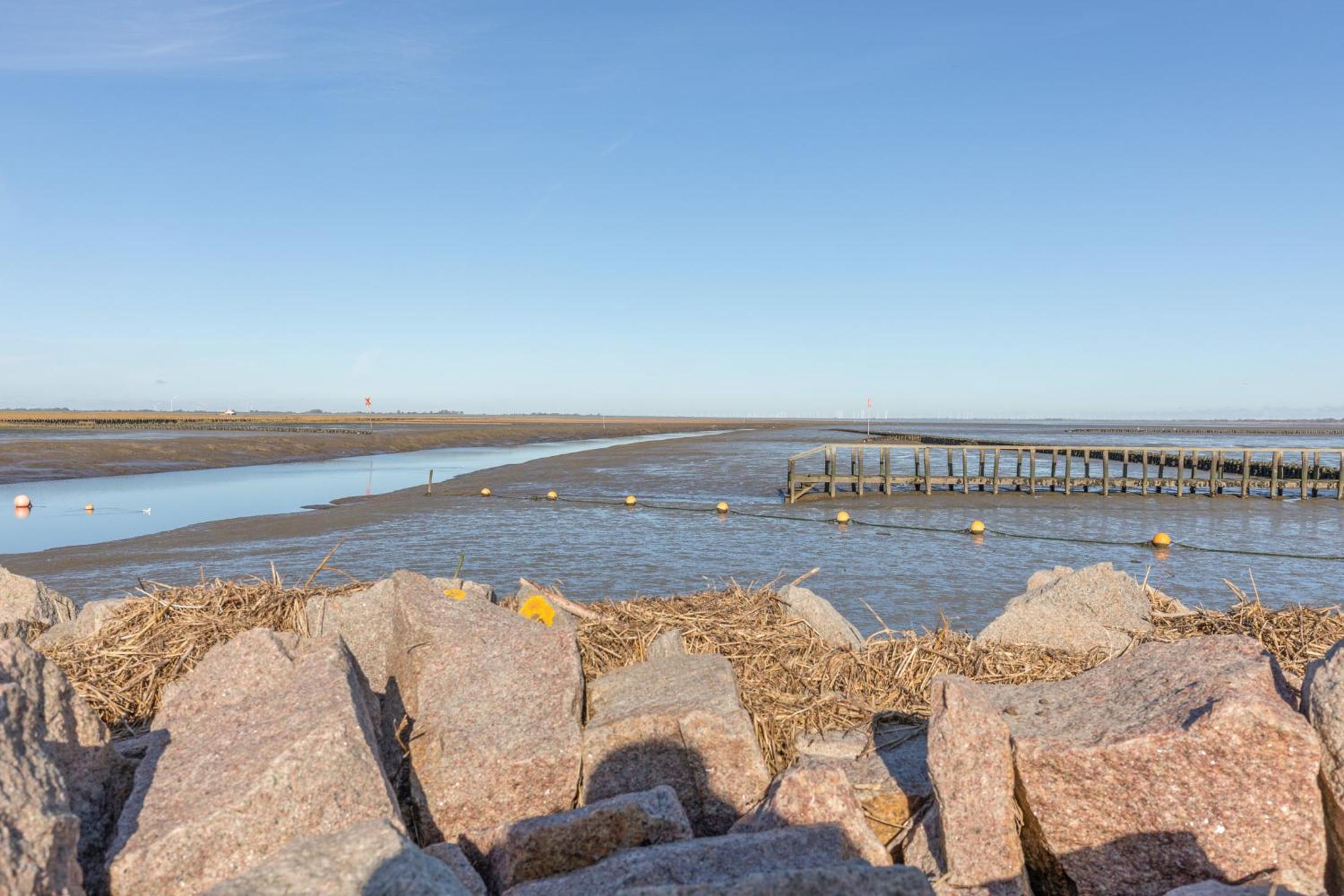 Wattenmeer view 3