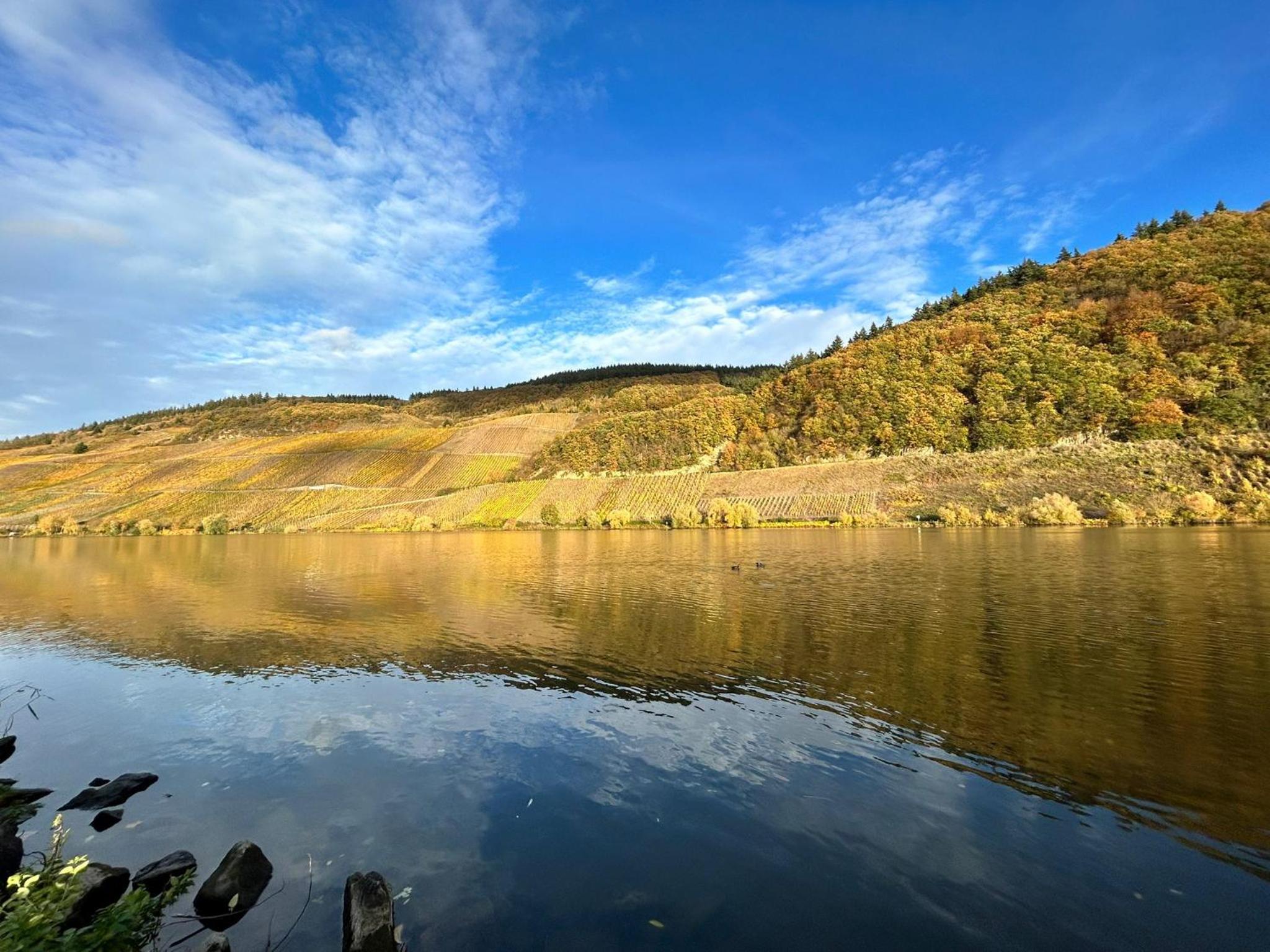 Moselglück