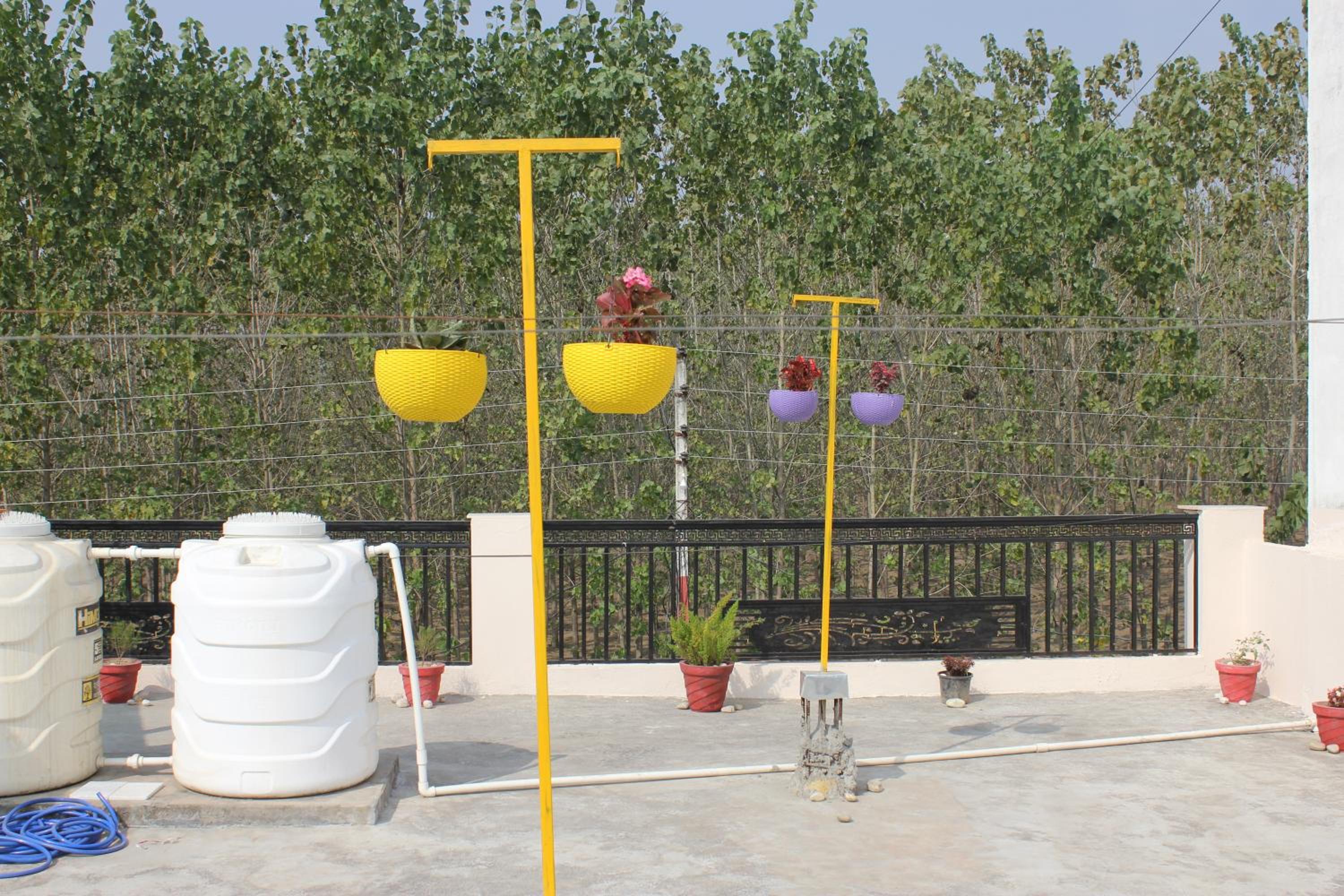 Prakriti Homestay