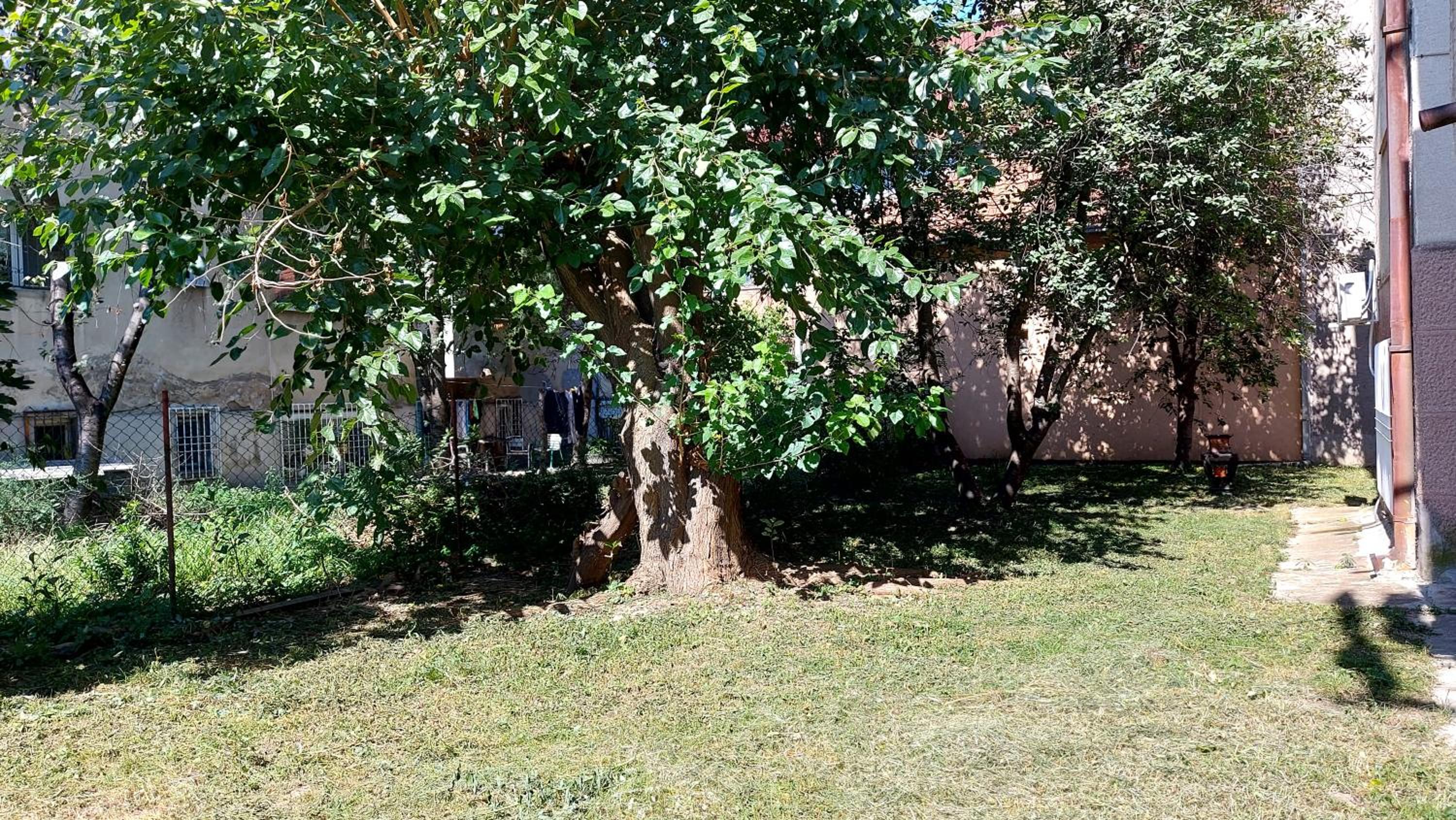 Photo 37