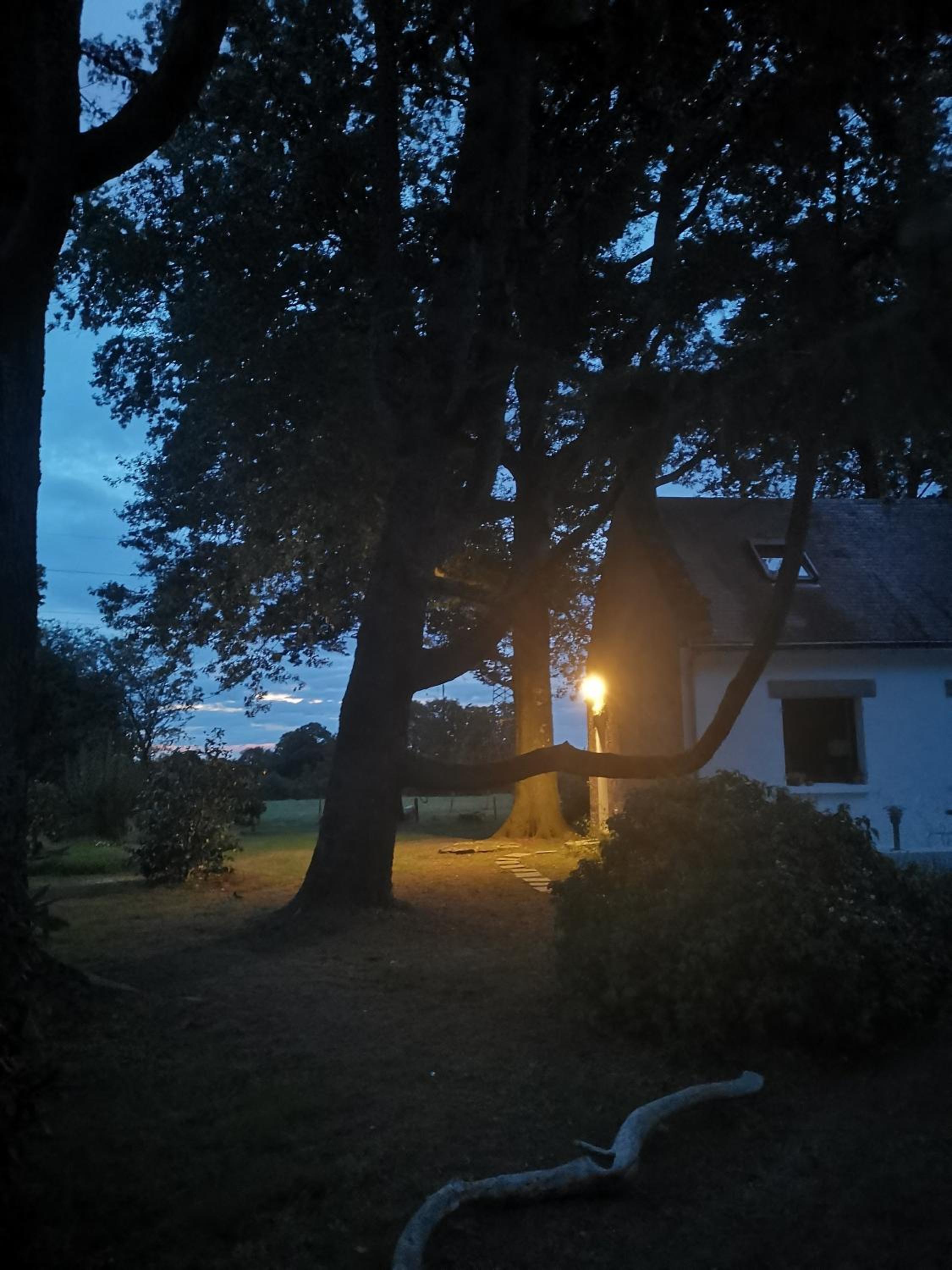 Photo 35
