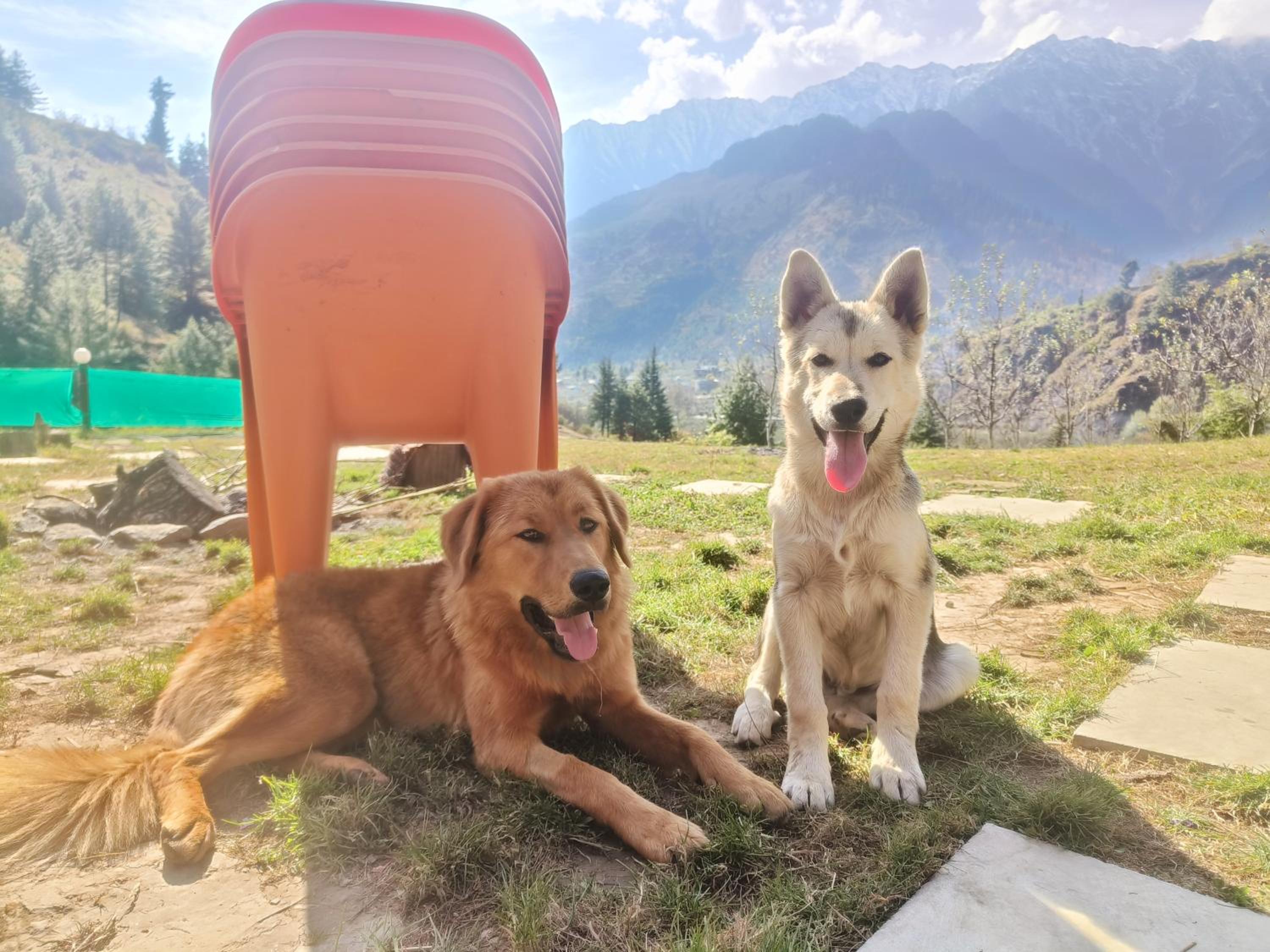 Waterfall valley stay