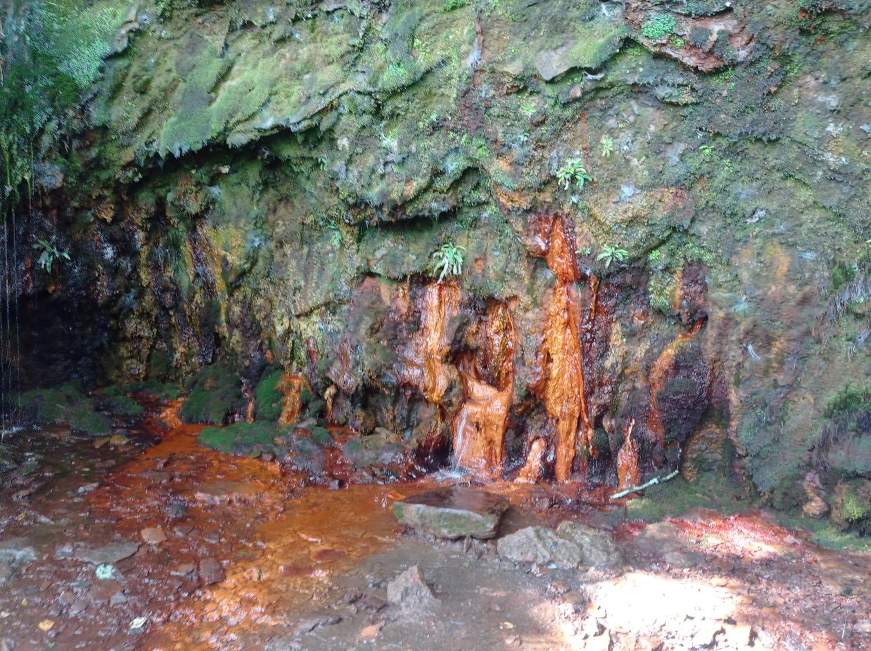 Les Ecureuils, photo 51