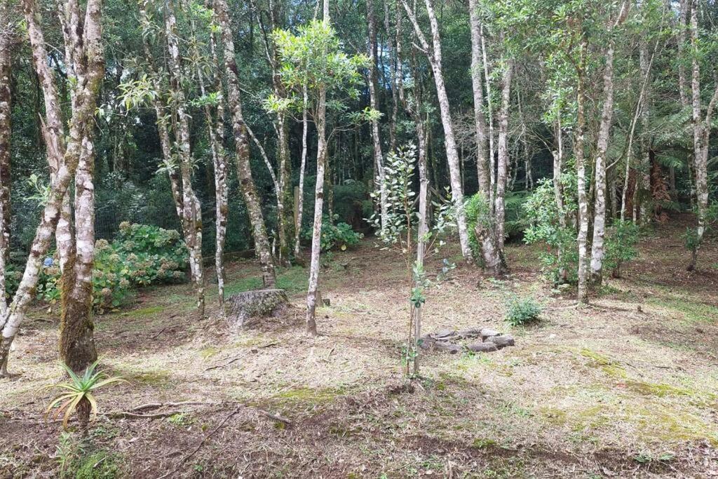 Morada da Serra Alta