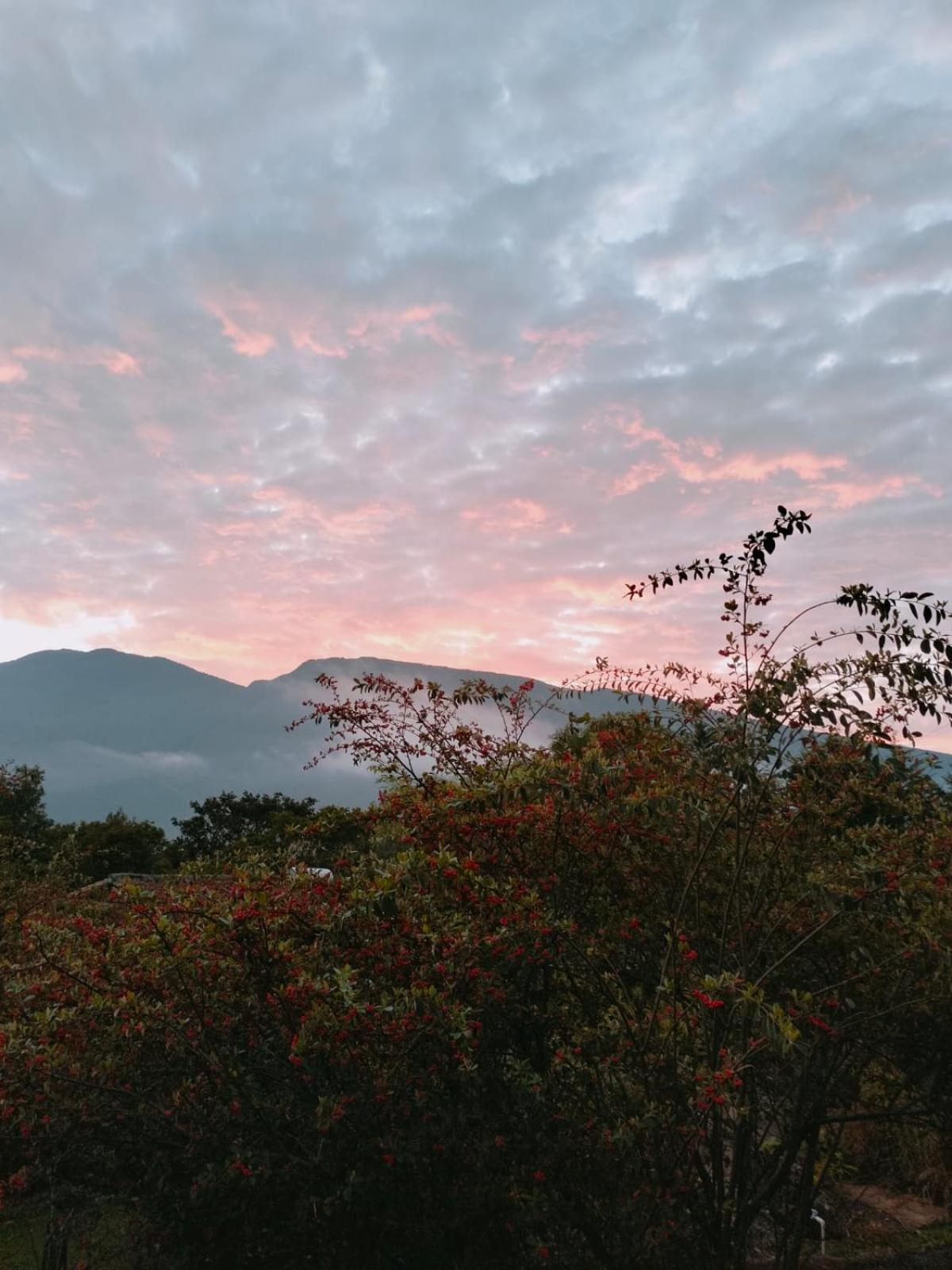 El Hayuelo Ecolodge
