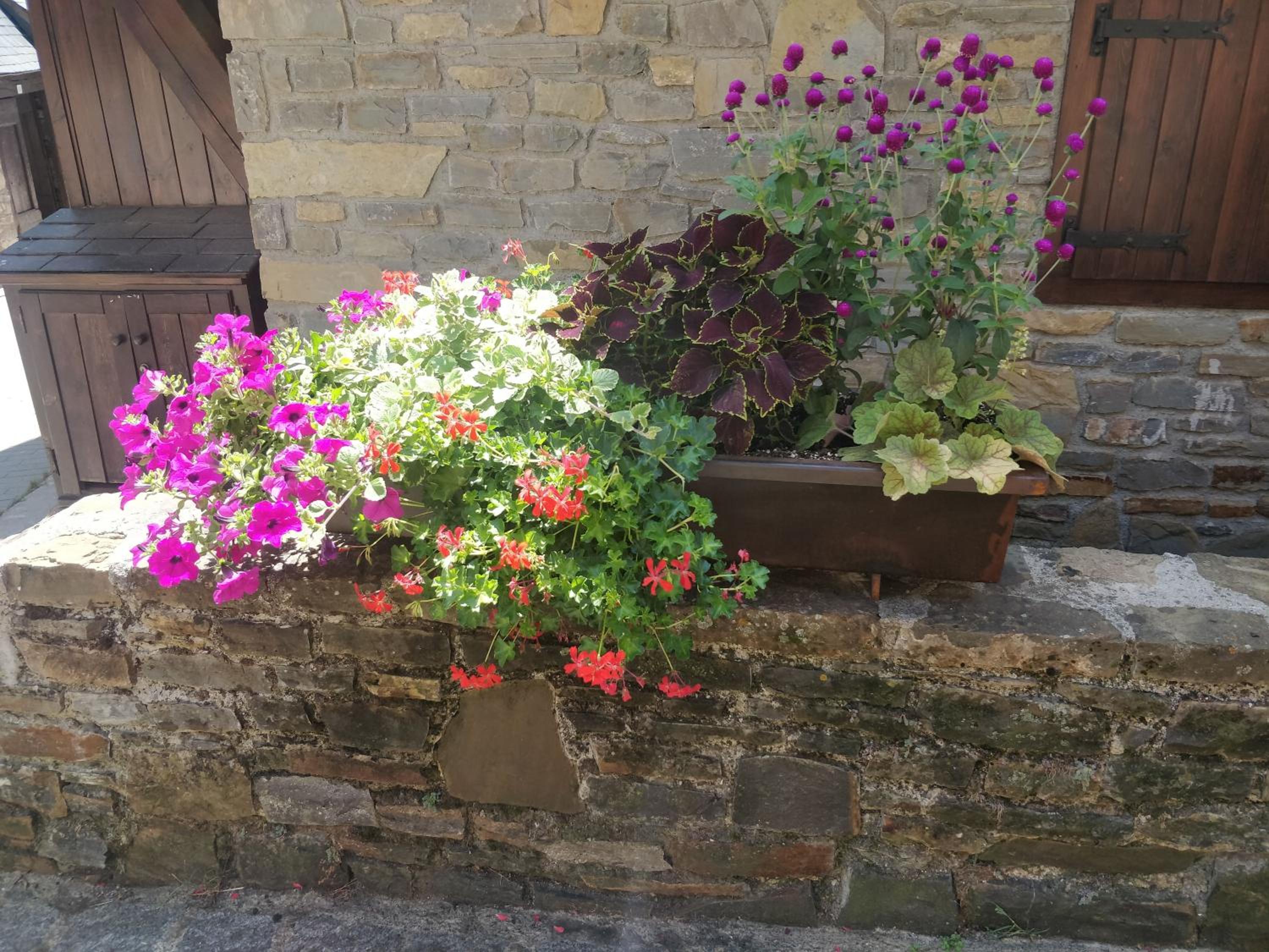 Photo 25