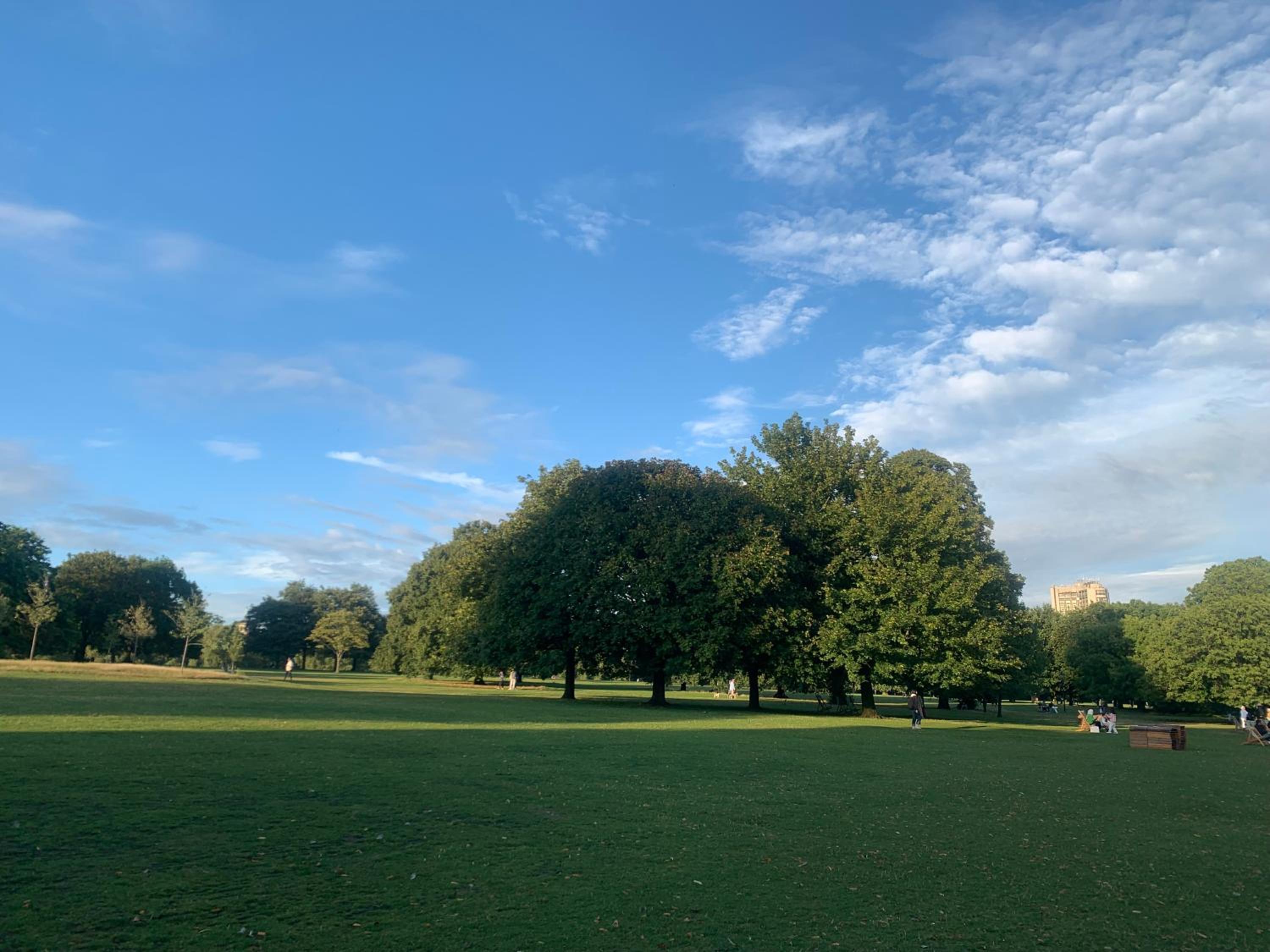 North Acton Flat