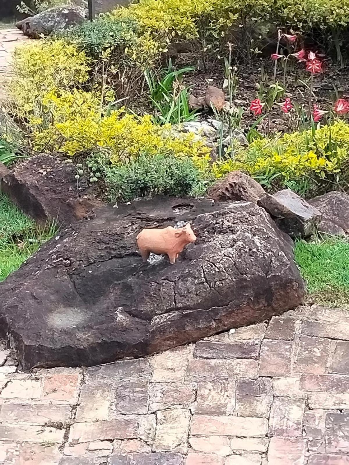 El Hayuelo Ecolodge