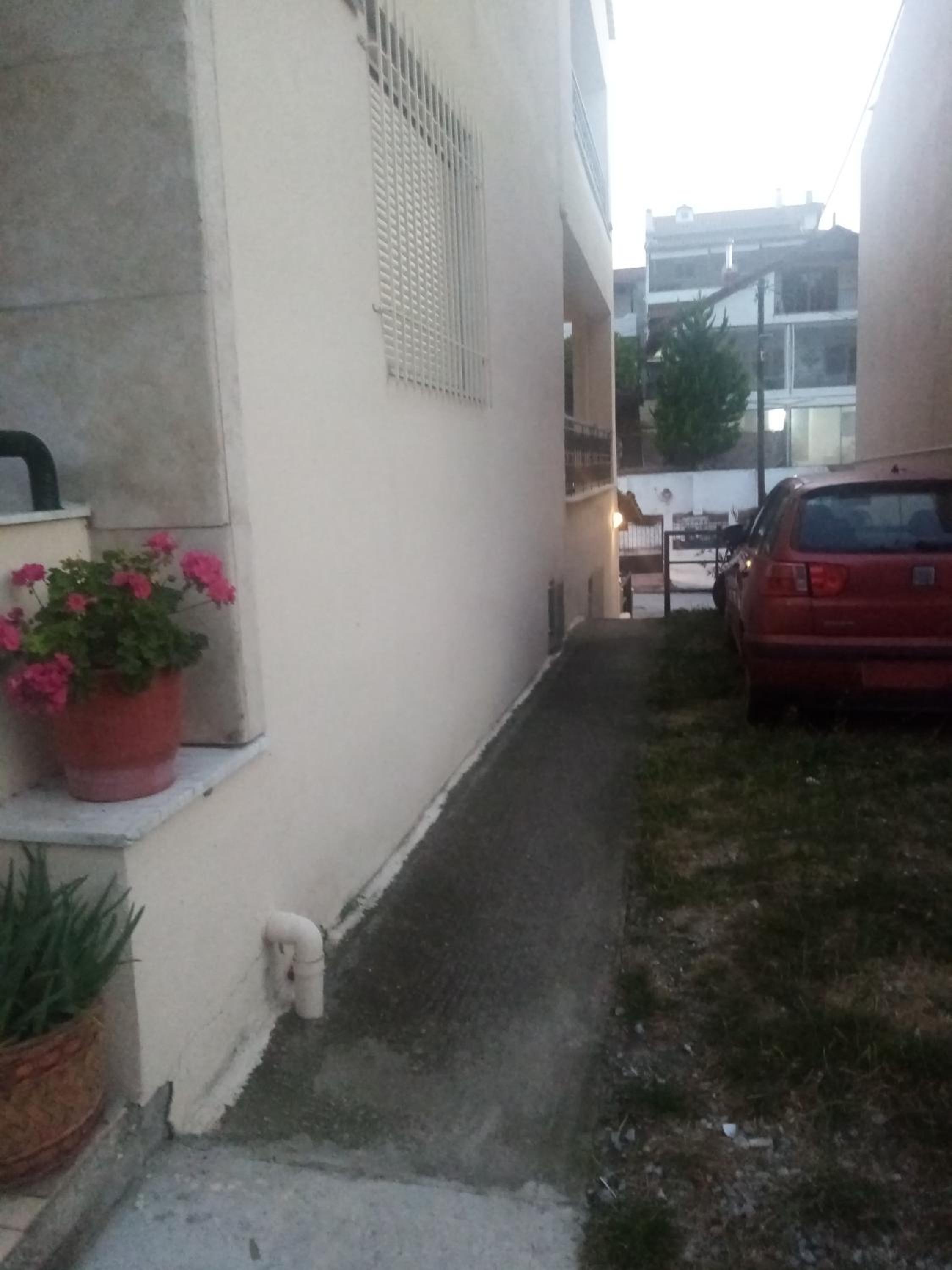 Haras'house view 3