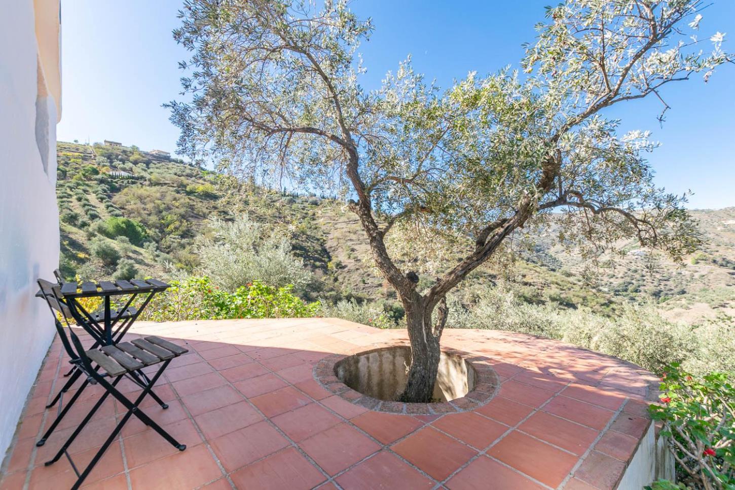Finca Rosalia