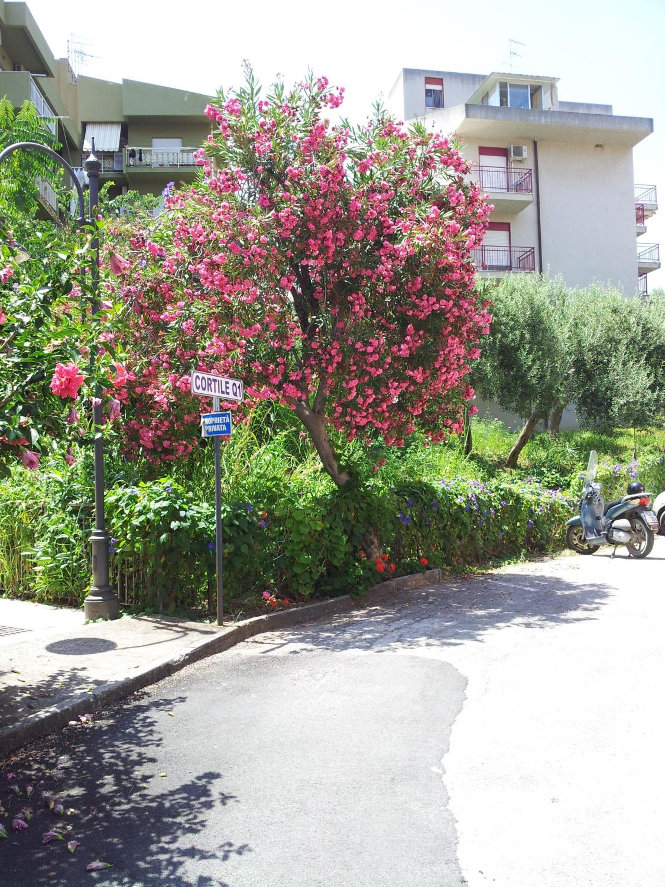 Le Giarette view 4