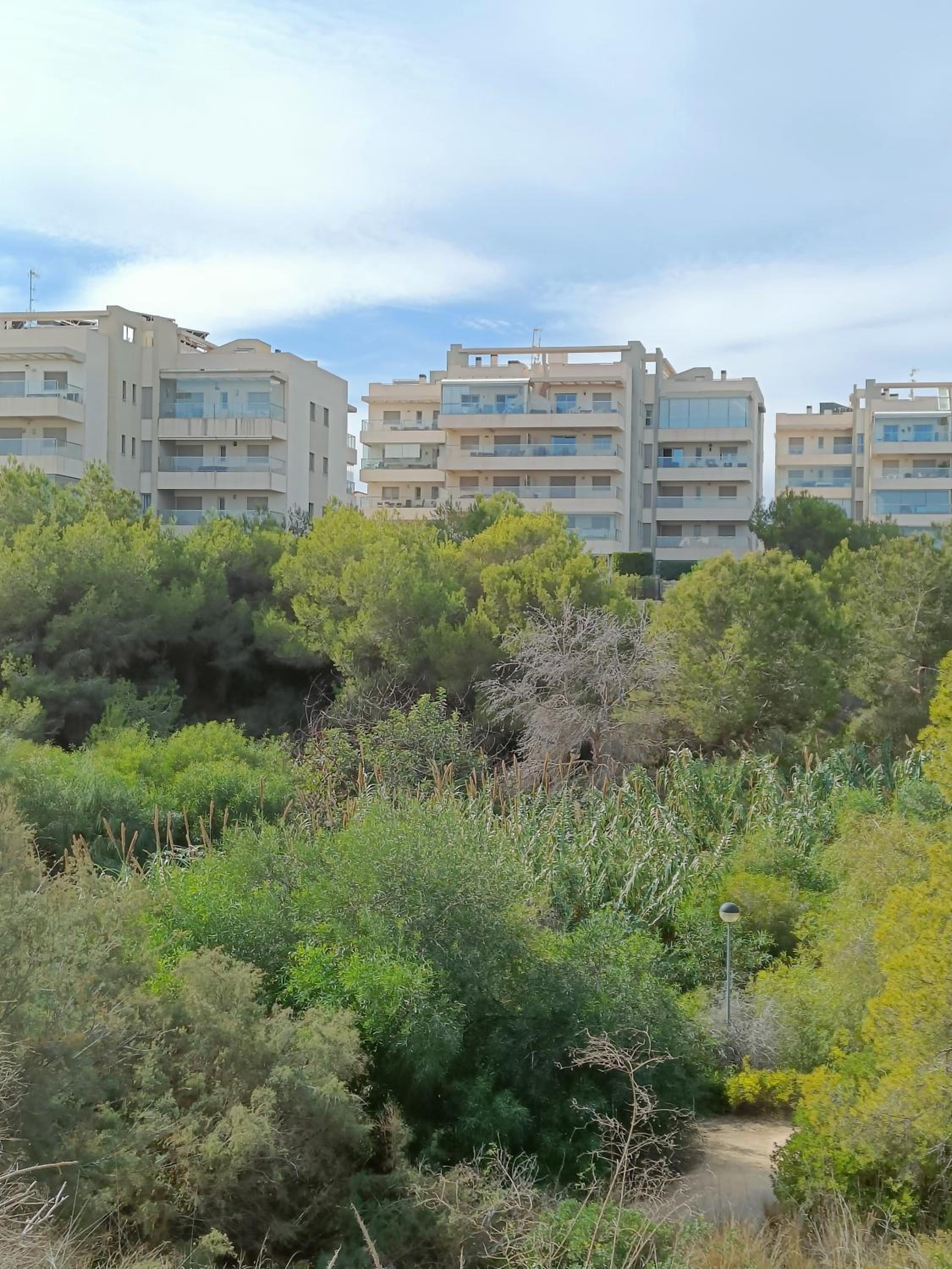 Mediterraneo-1