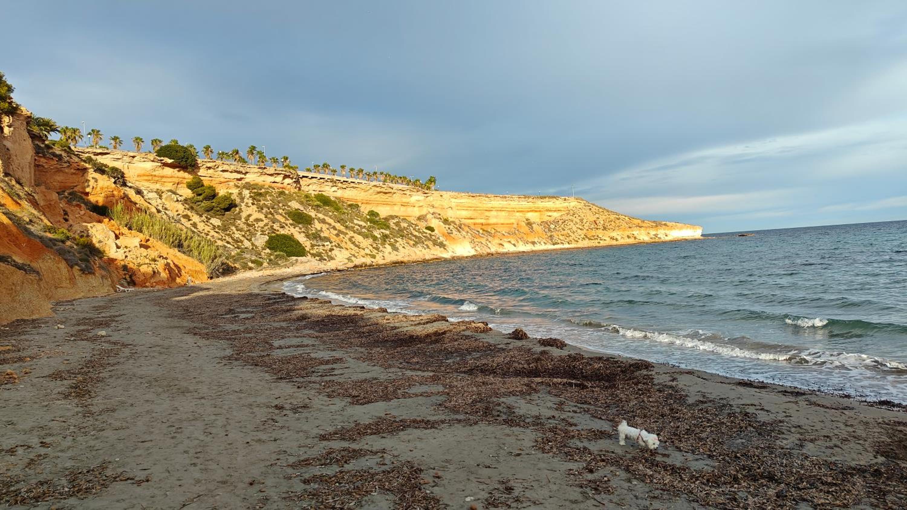 Mediterraneo-1