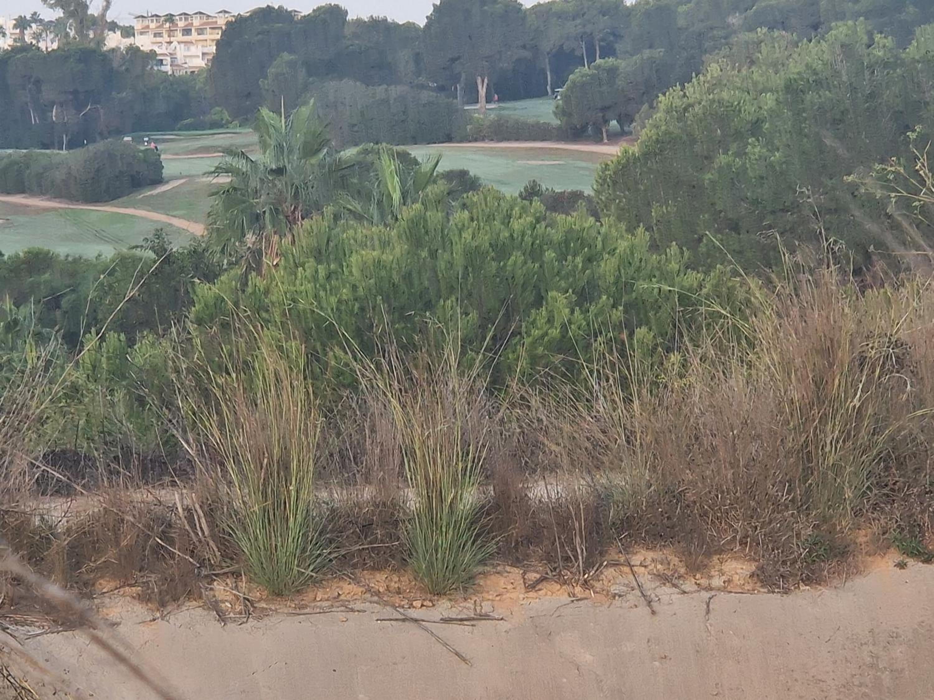 Mediterraneo-1