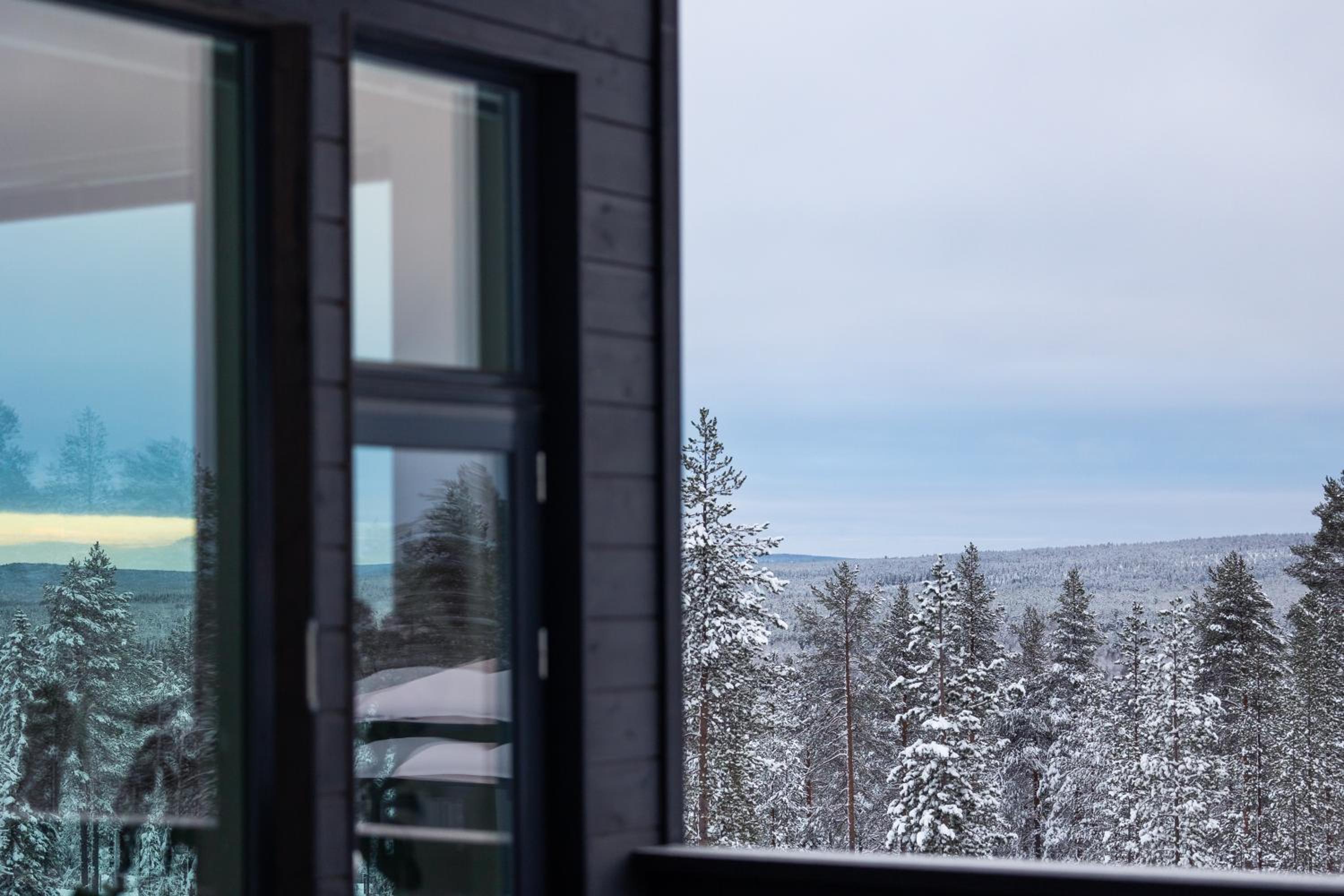 Arctic Juniper City Villa