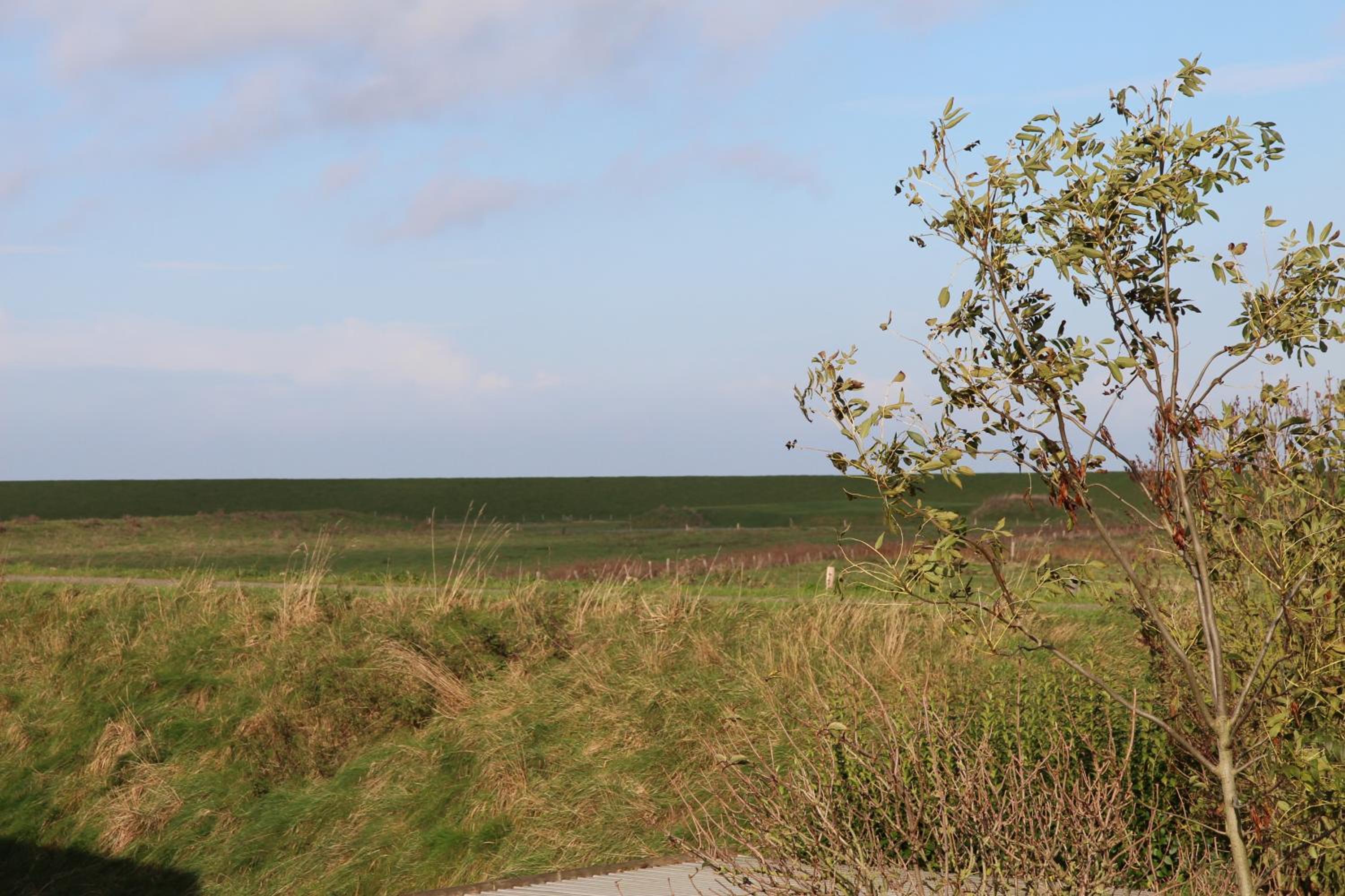 Strandmeerchen