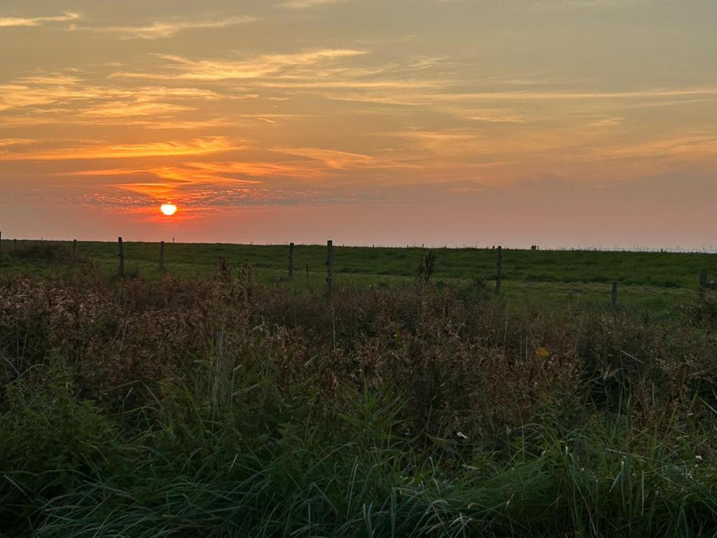 Strandmeerchen